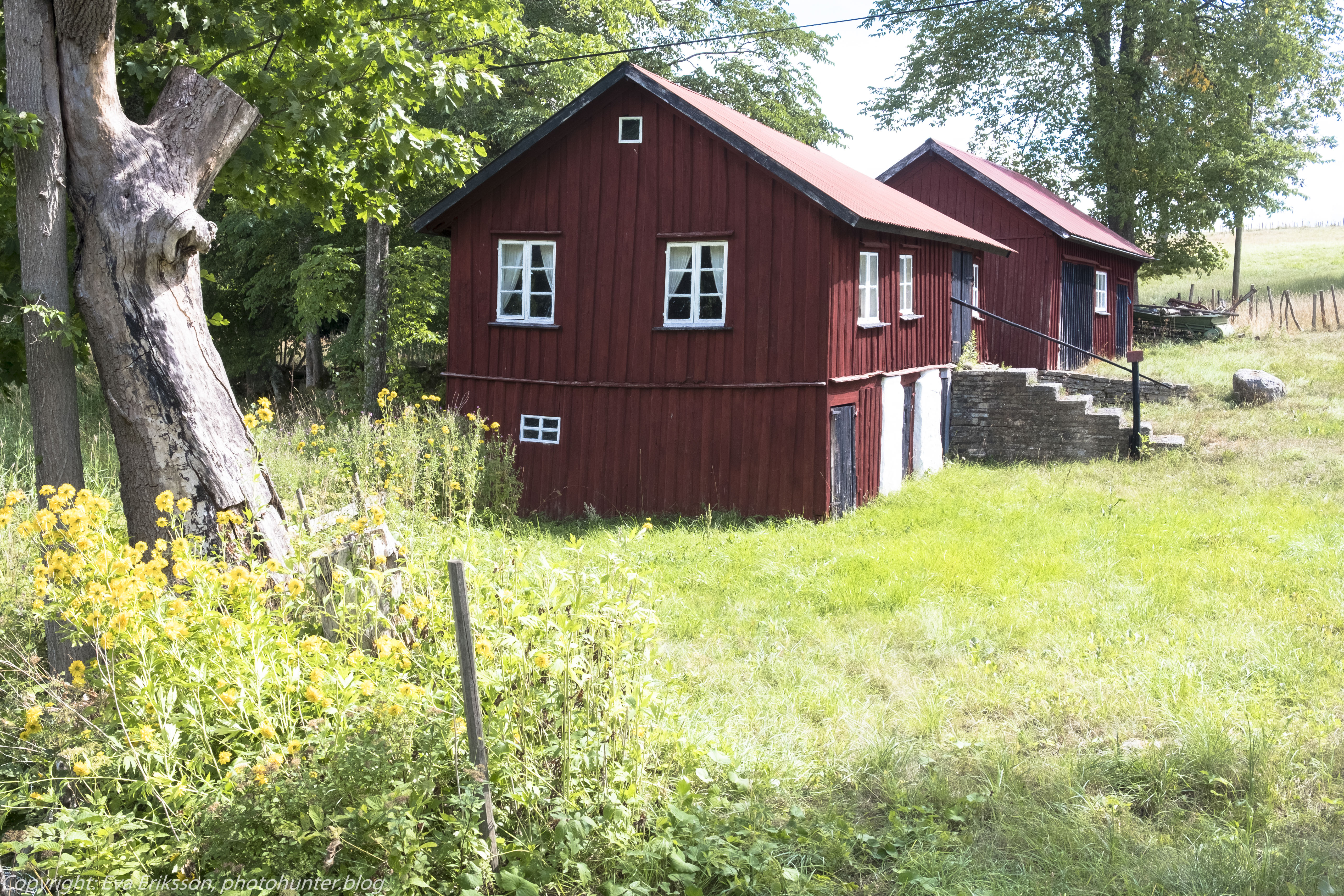 04082018-04082018-_DSF0422