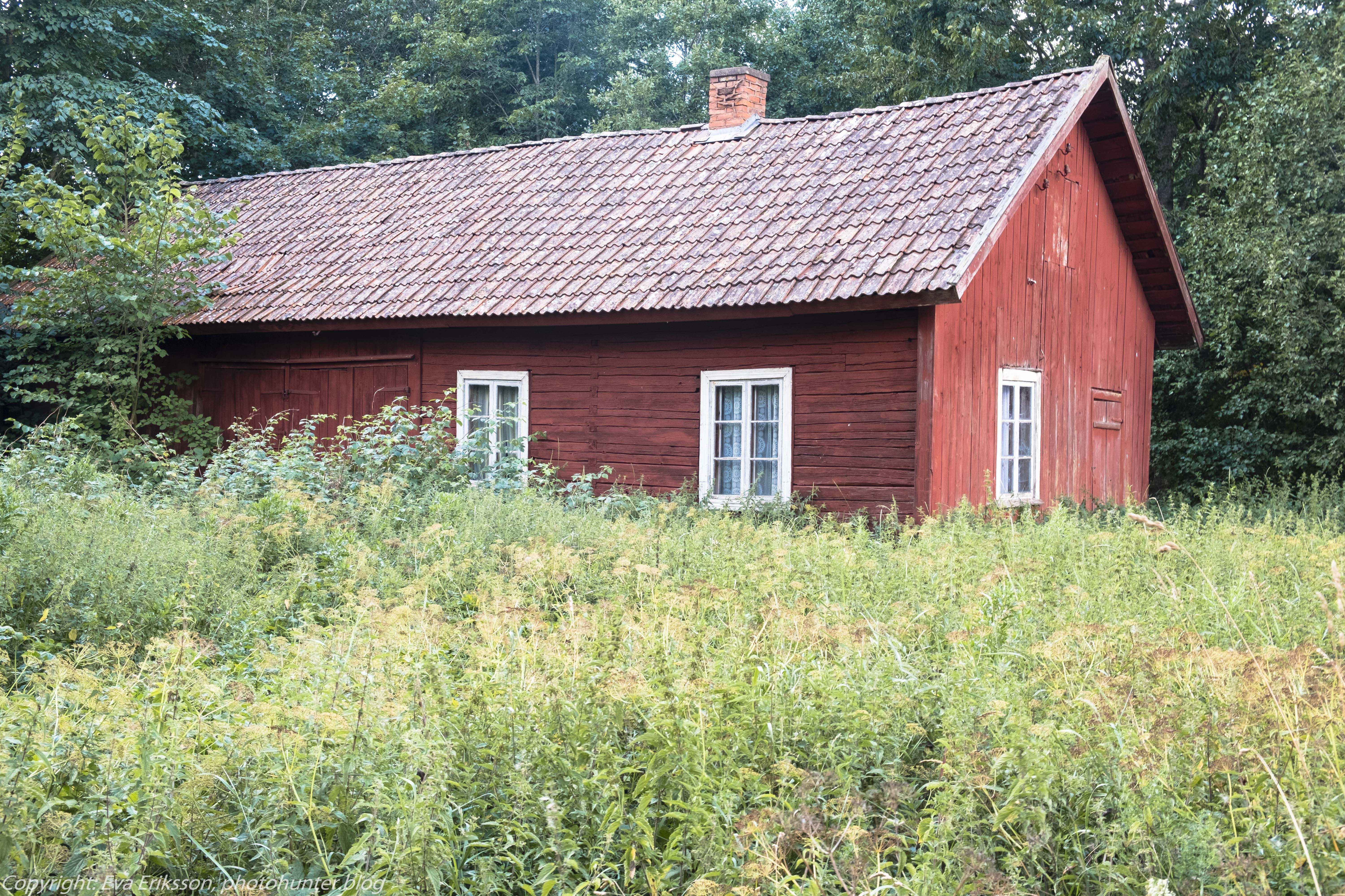 04082018-04082018-_DSF0425