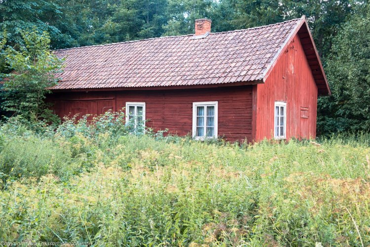 04082018-04082018-_DSF0425