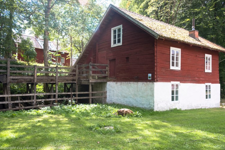 04082018-04082018-_DSF0434