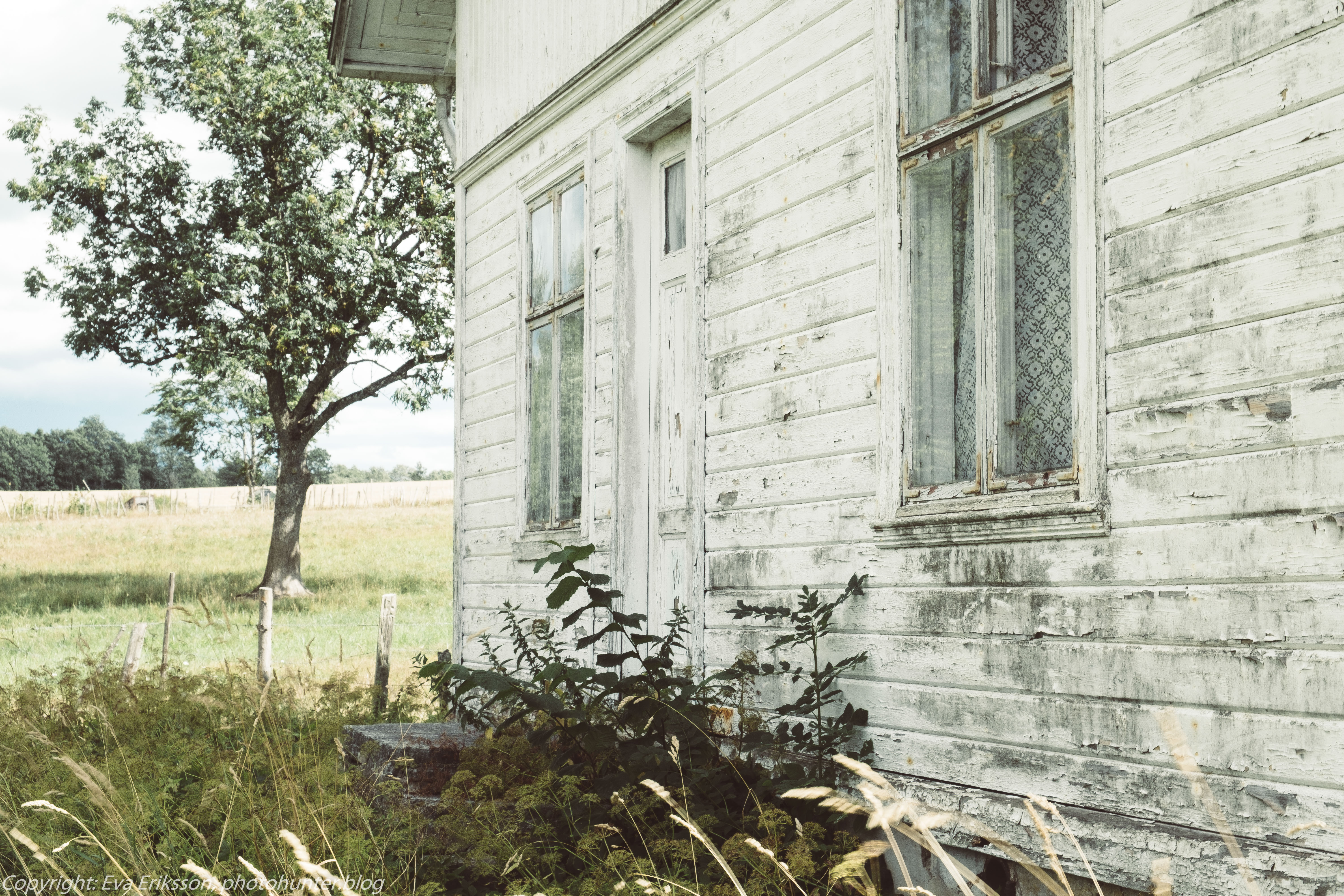 04082018-04082018-_DSF0471