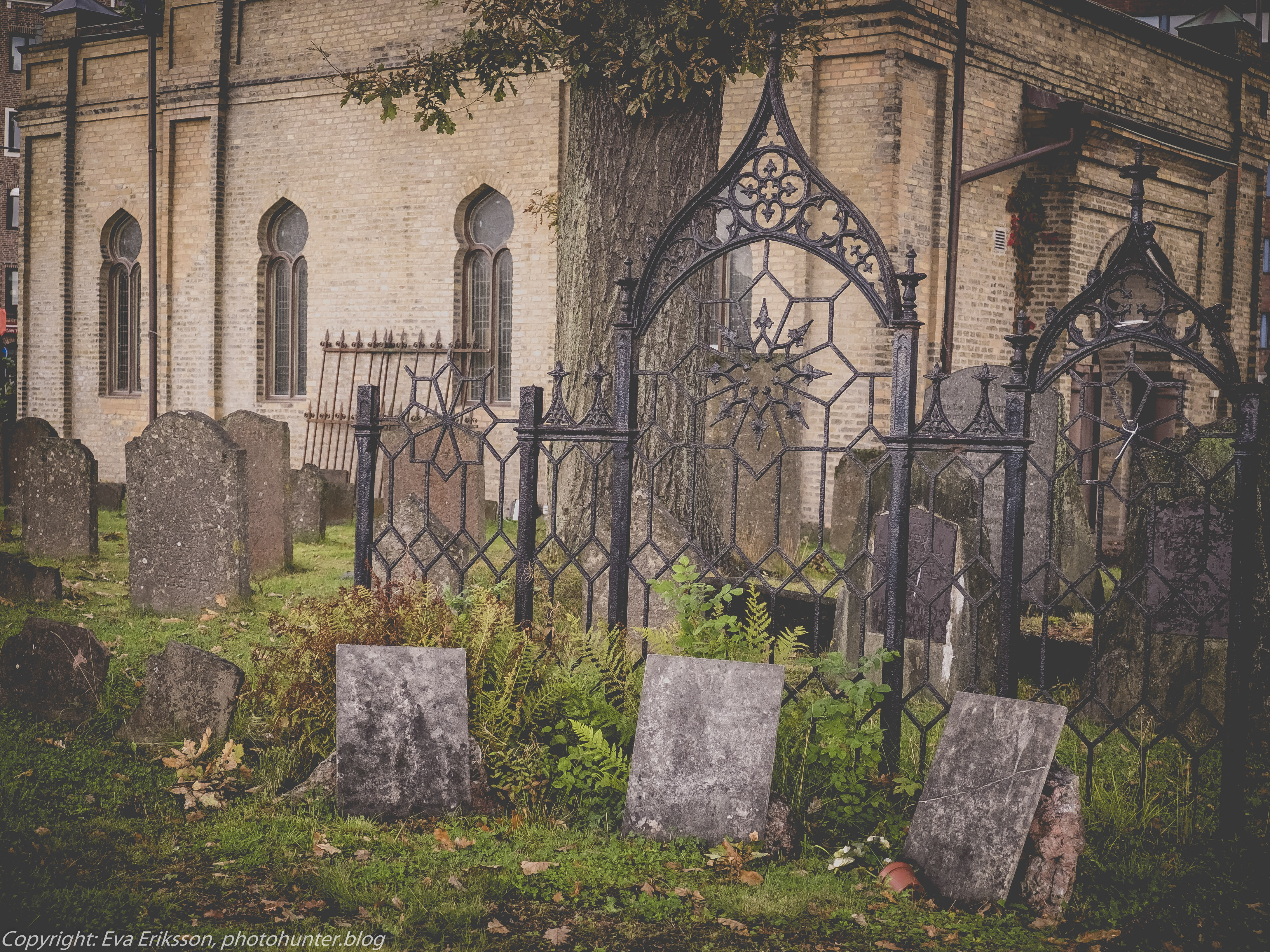 10092017-10092017-_DSF1811