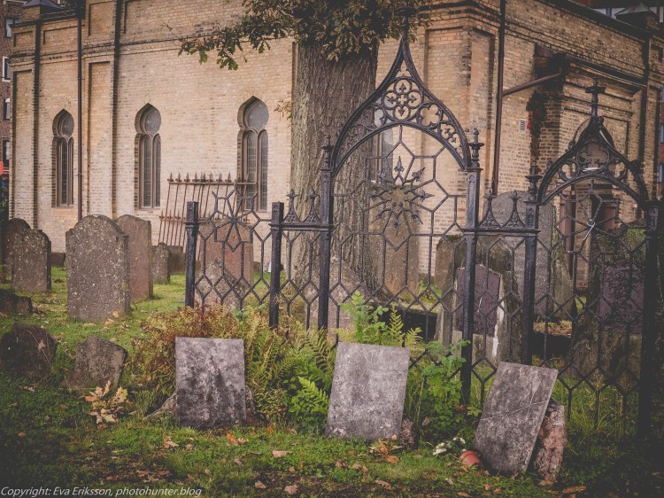 10092017-10092017-_DSF1811