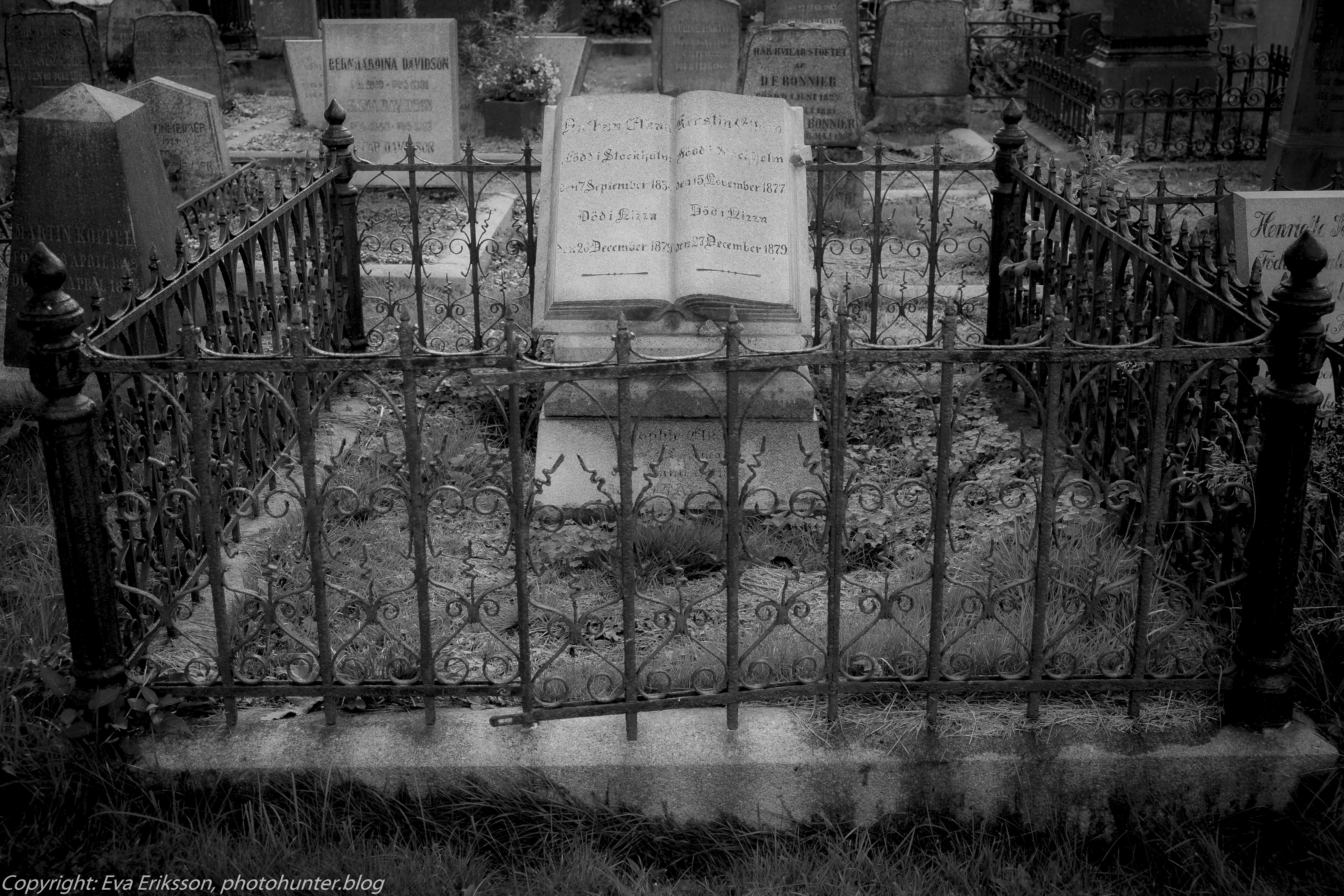 10092017-10092017-_DSF1831