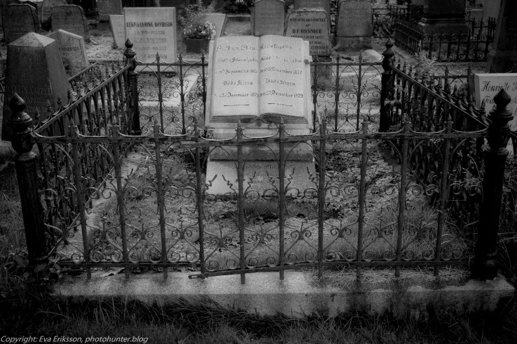 10092017-10092017-_DSF1831