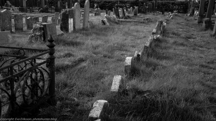 10092017-10092017-_DSF1835