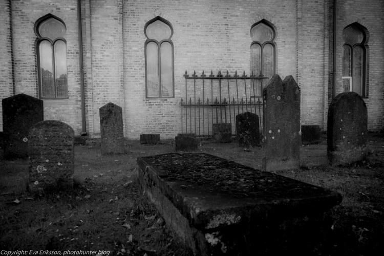 10092017-10092017-_DSF1845