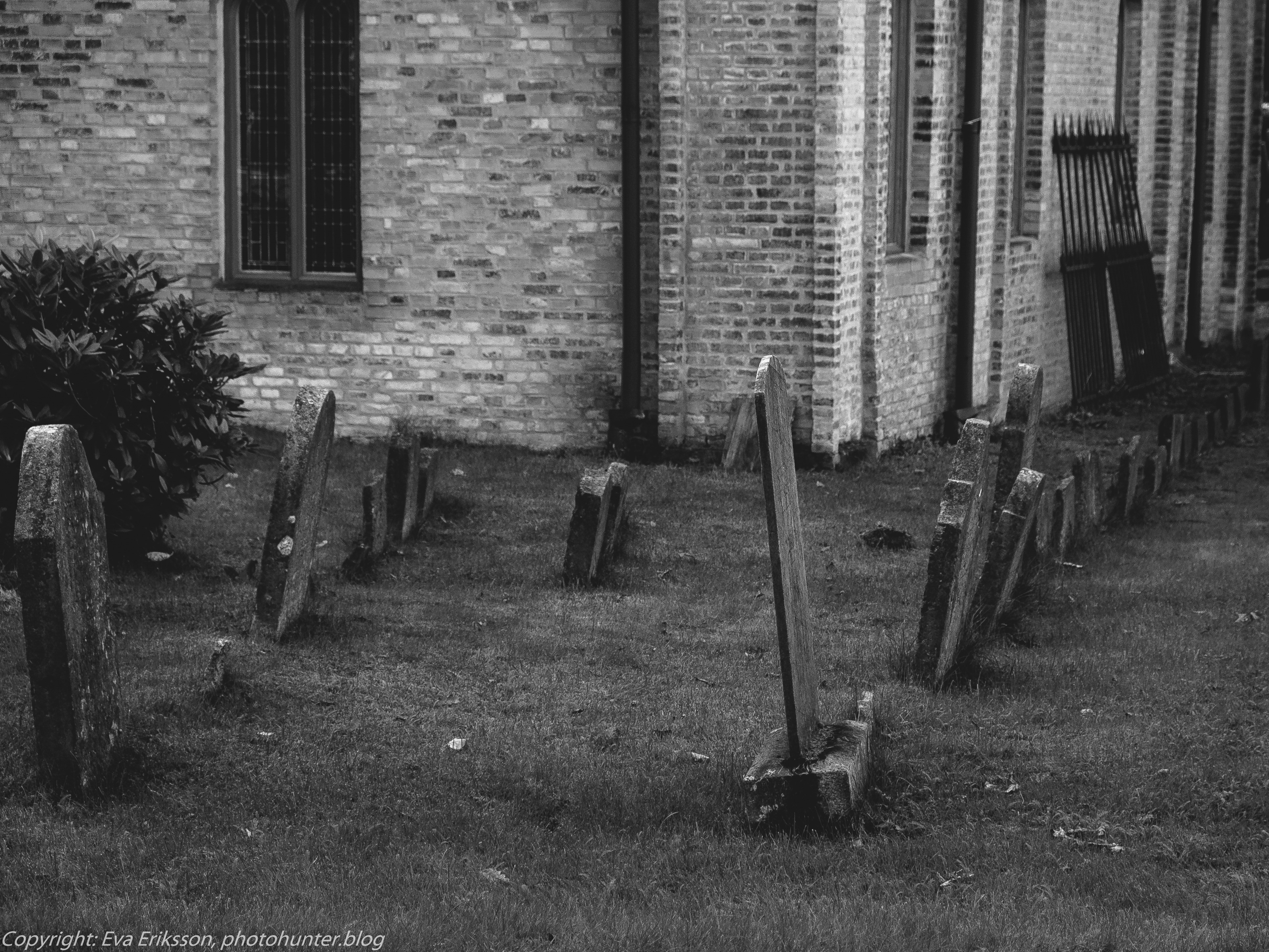 10092017-10092017-_DSF1856