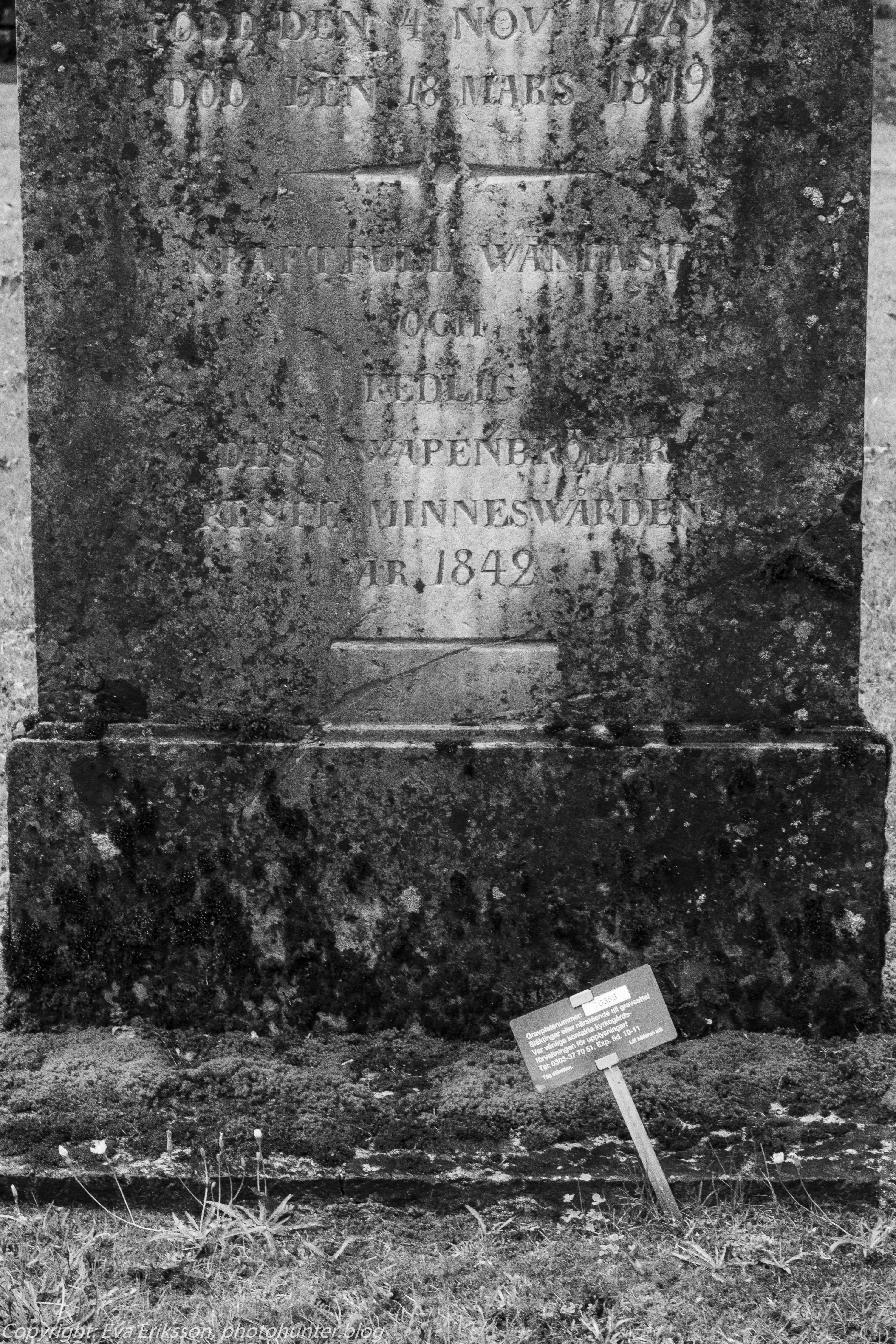 14082018-14082018-_DSF0771