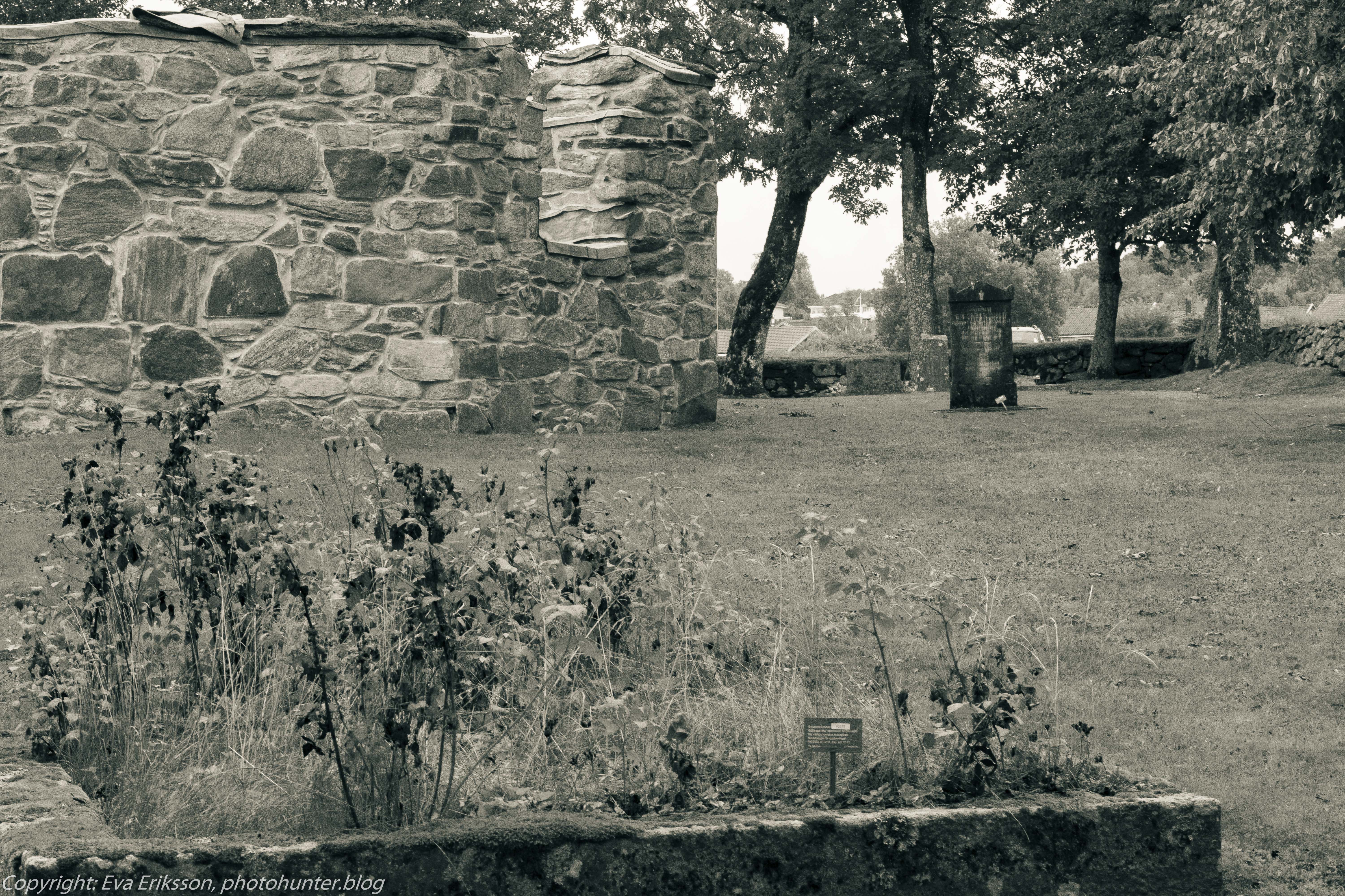 14082018-14082018-_DSF0774