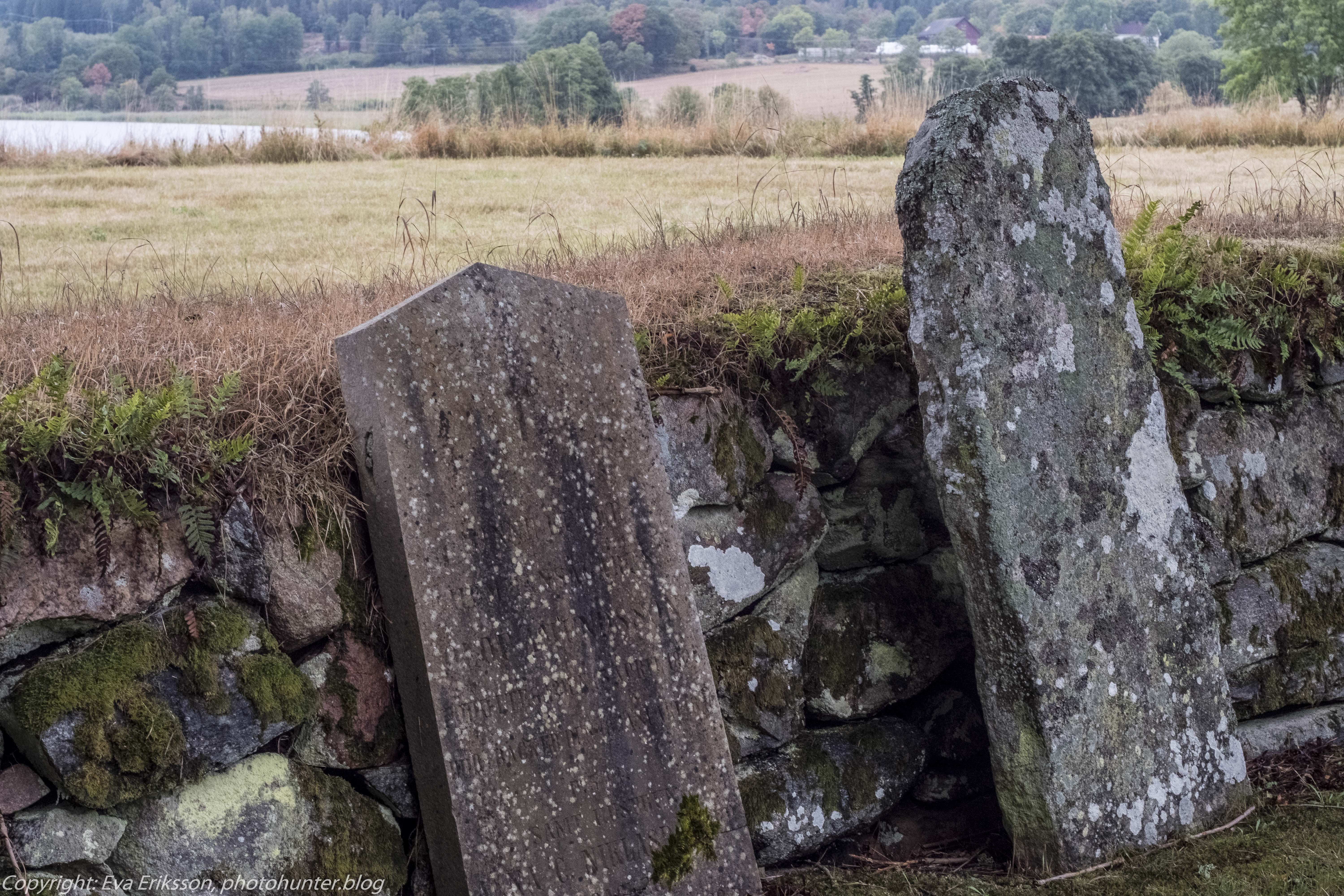 14082018-14082018-_DSF0778