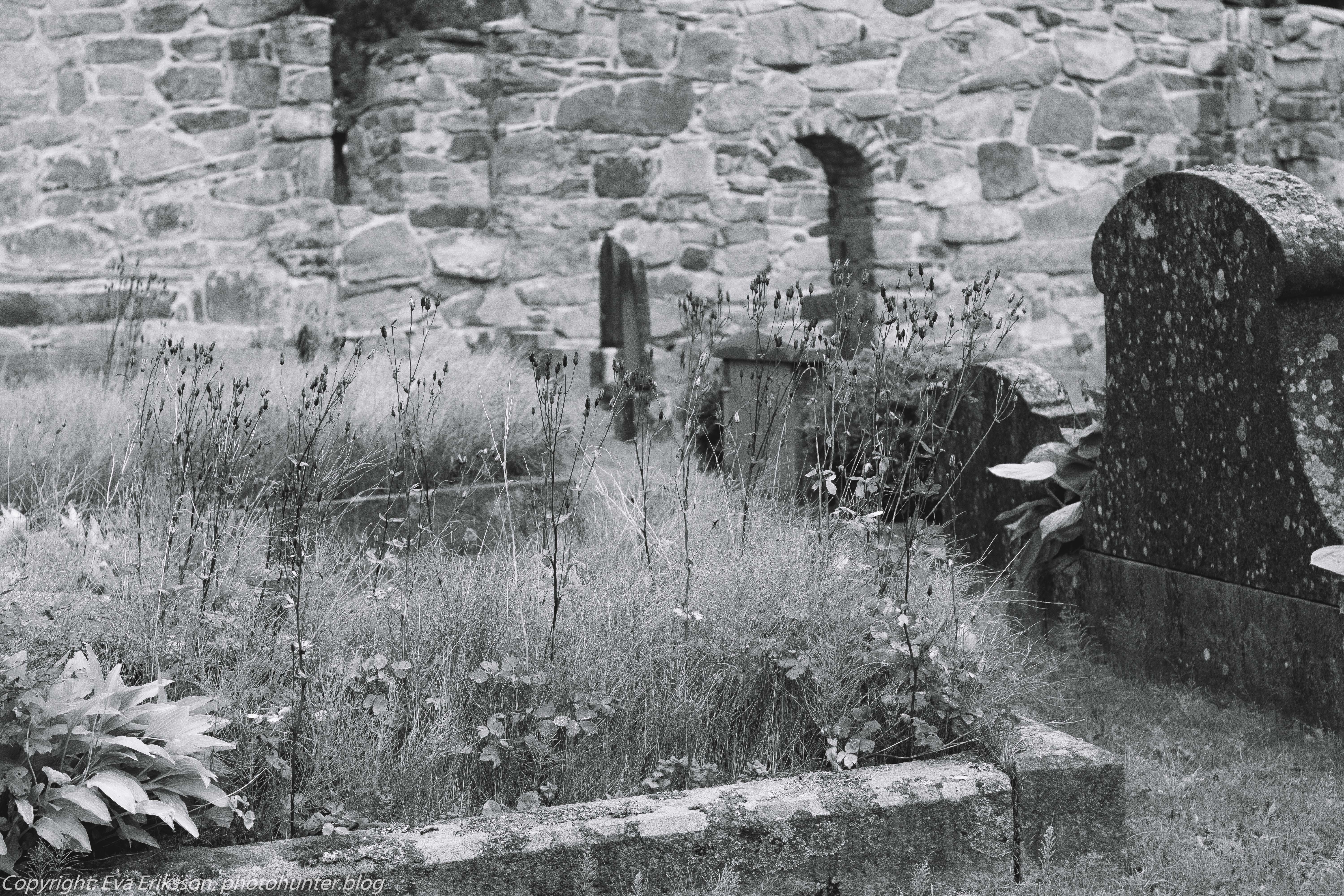 14082018-14082018-_DSF0785