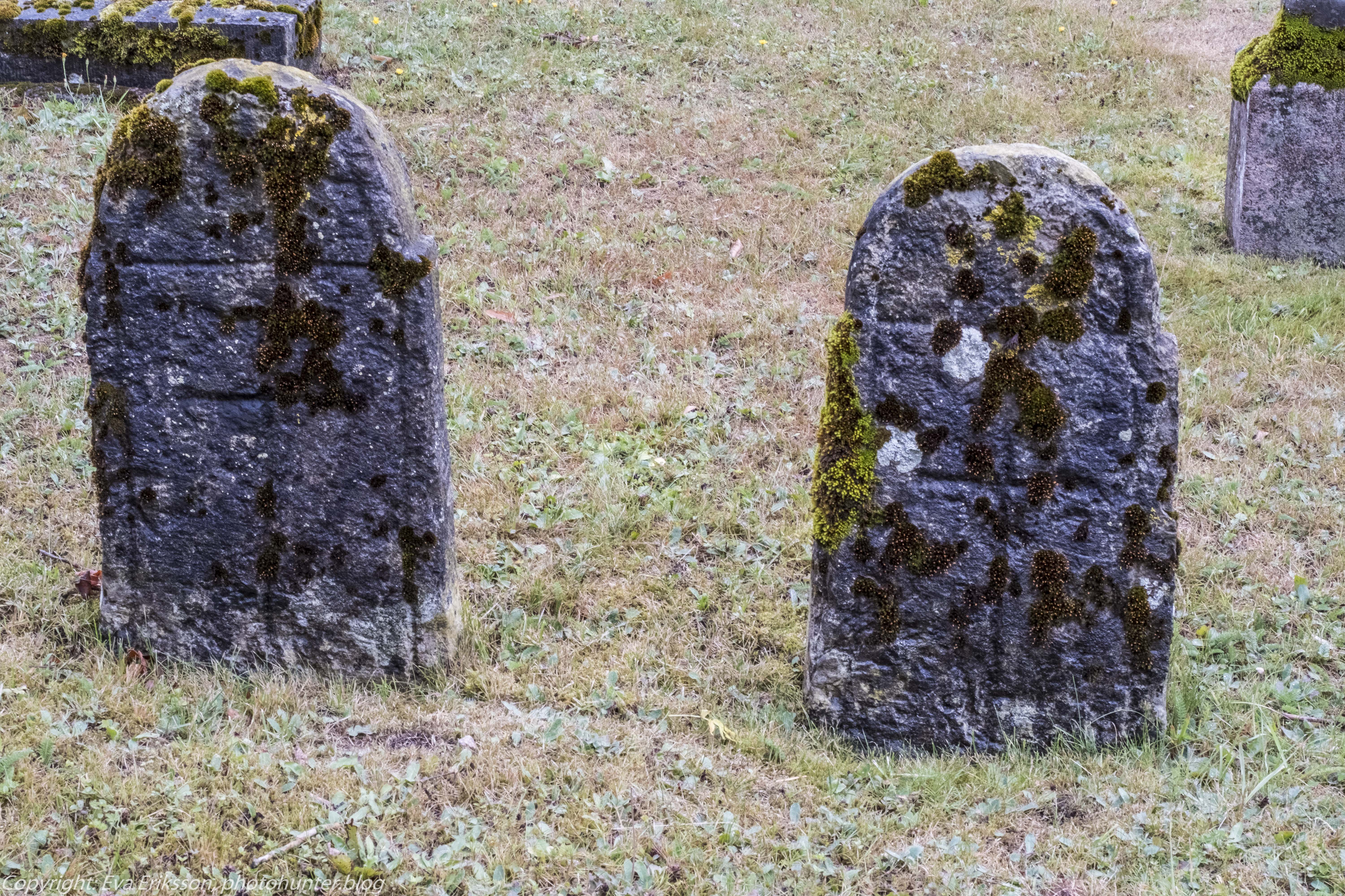 14082018-14082018-_DSF0790