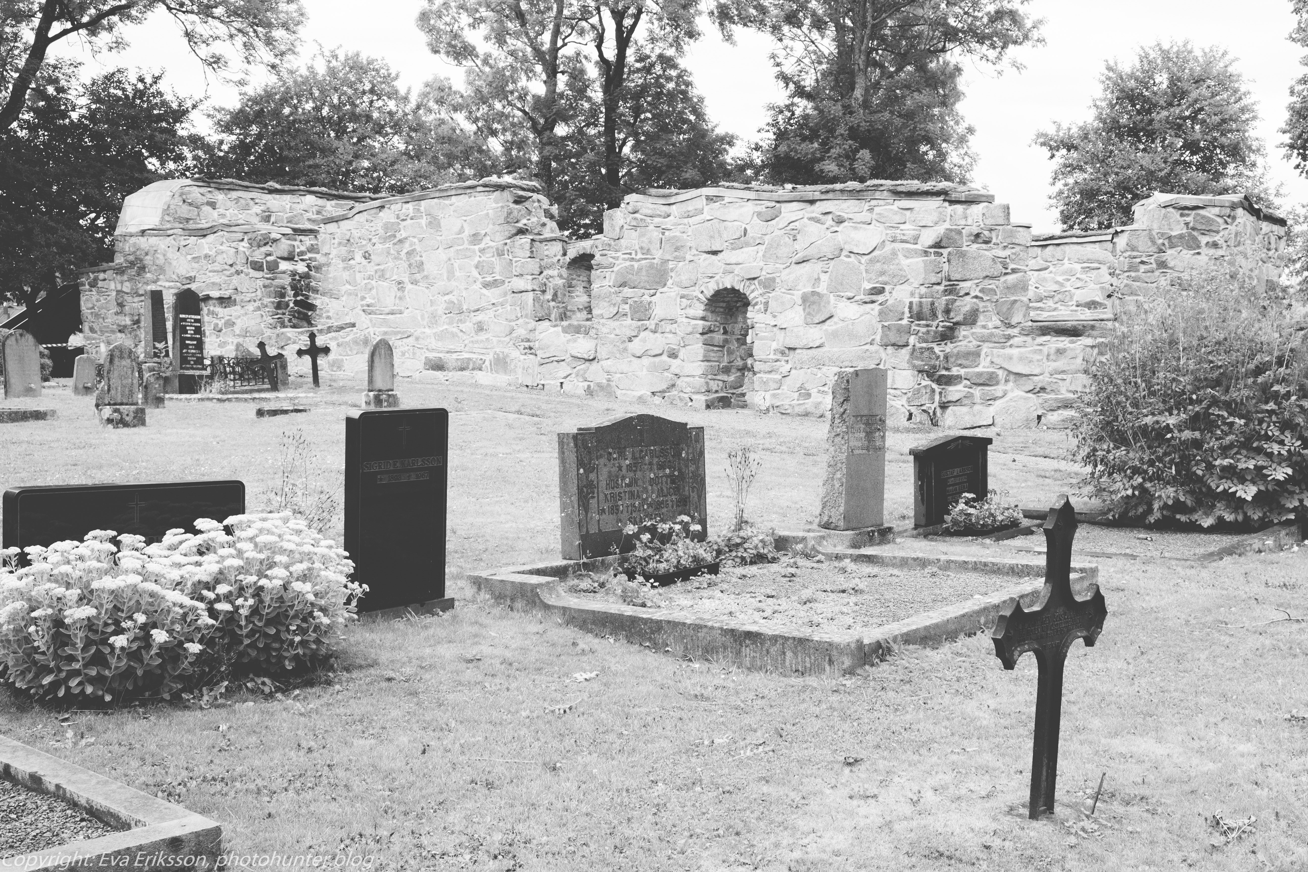 14082018-14082018-_DSF0822