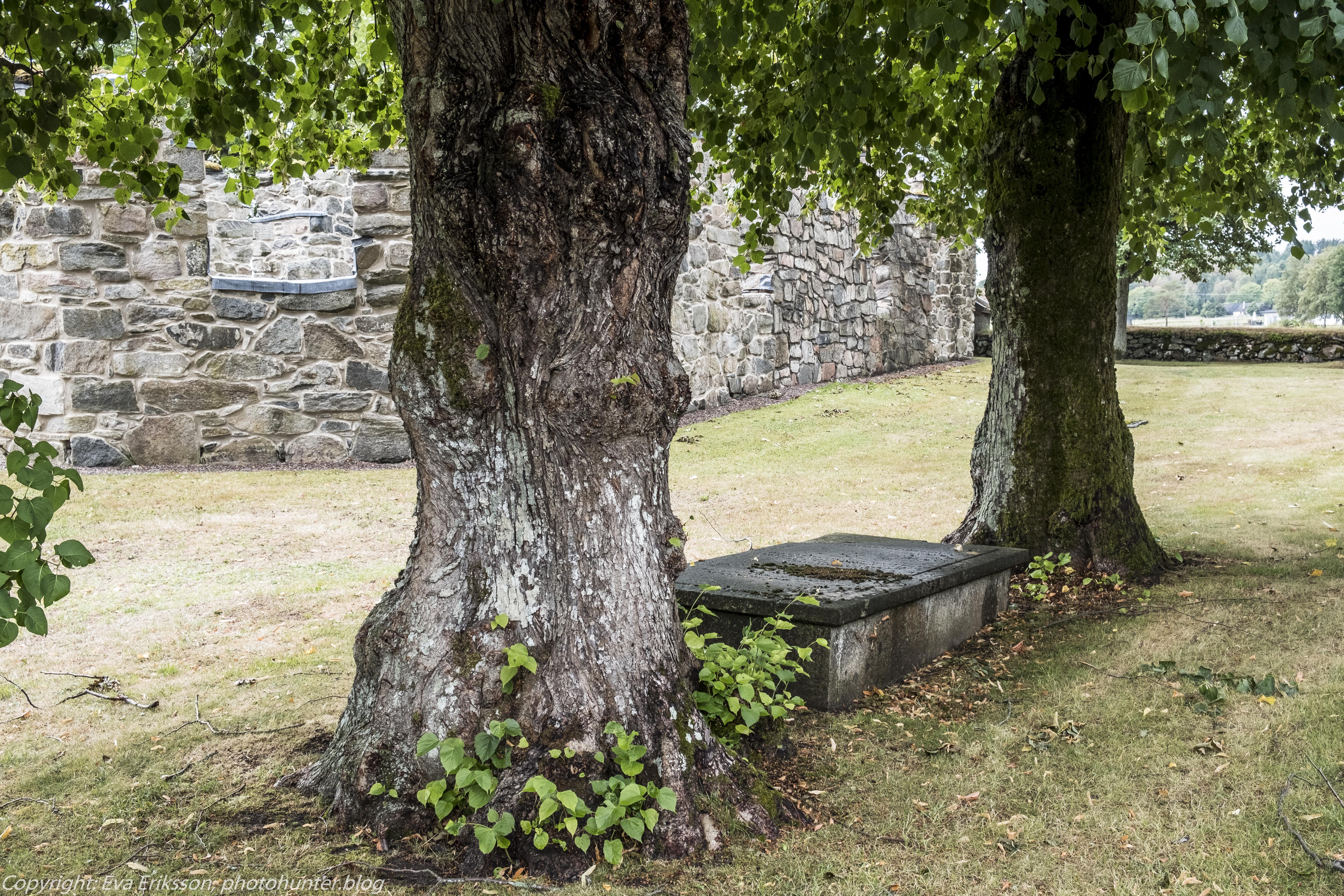 14082018-14082018-_DSF0825