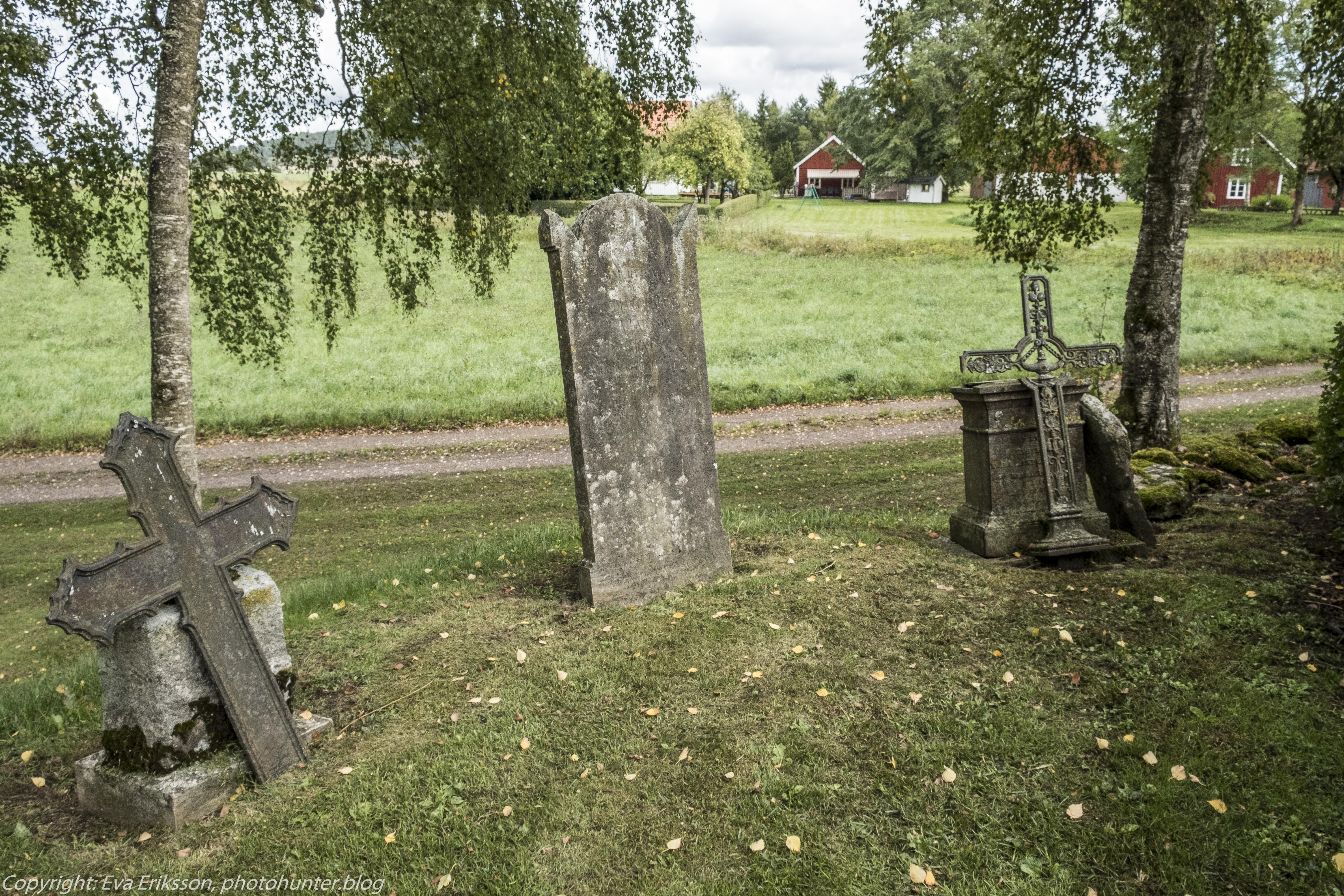 20082018-20082018-_DSF1403