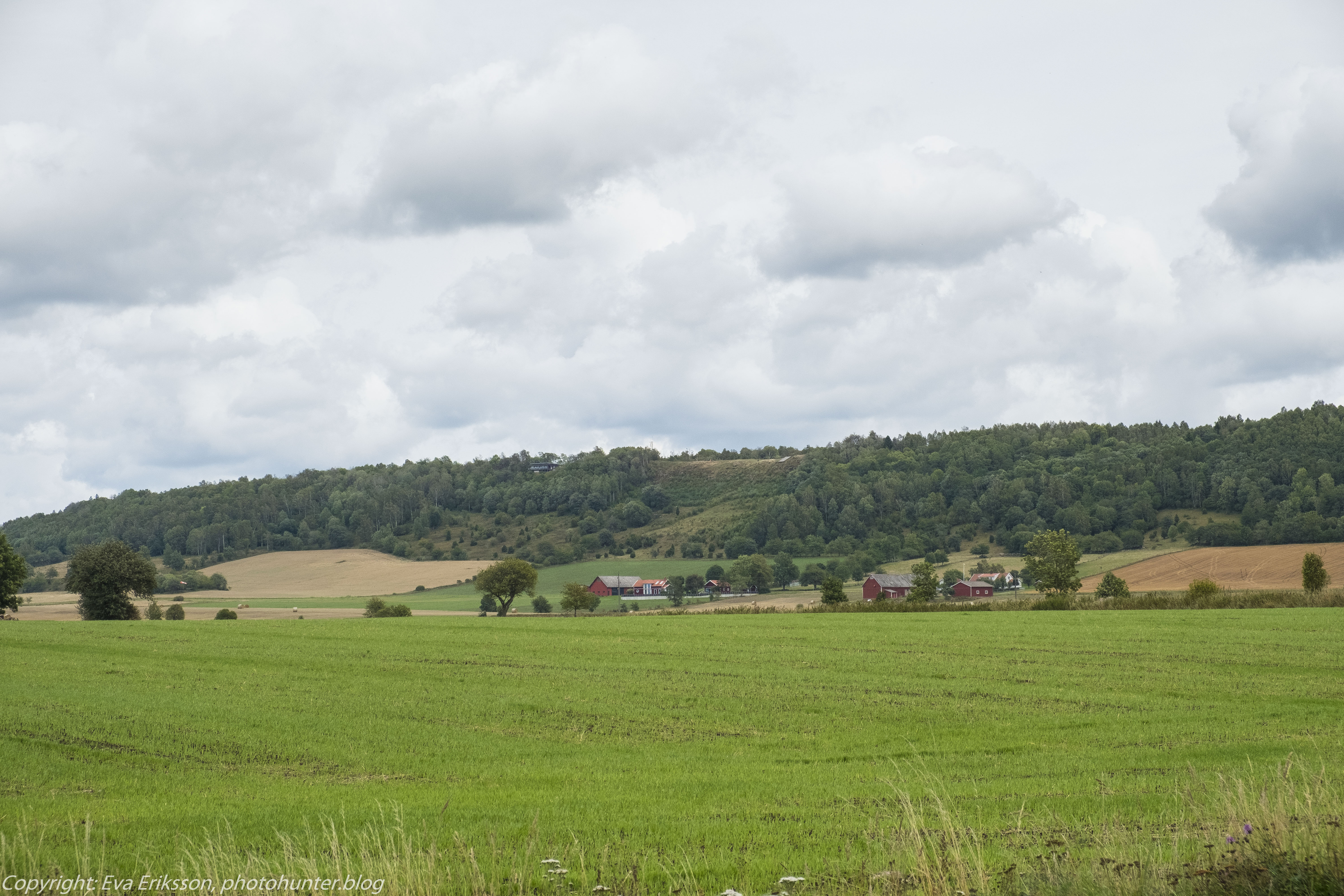 20082018-20082018-_DSF1414