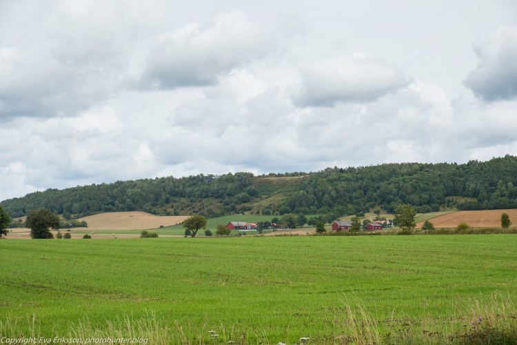 20082018-20082018-_DSF1414