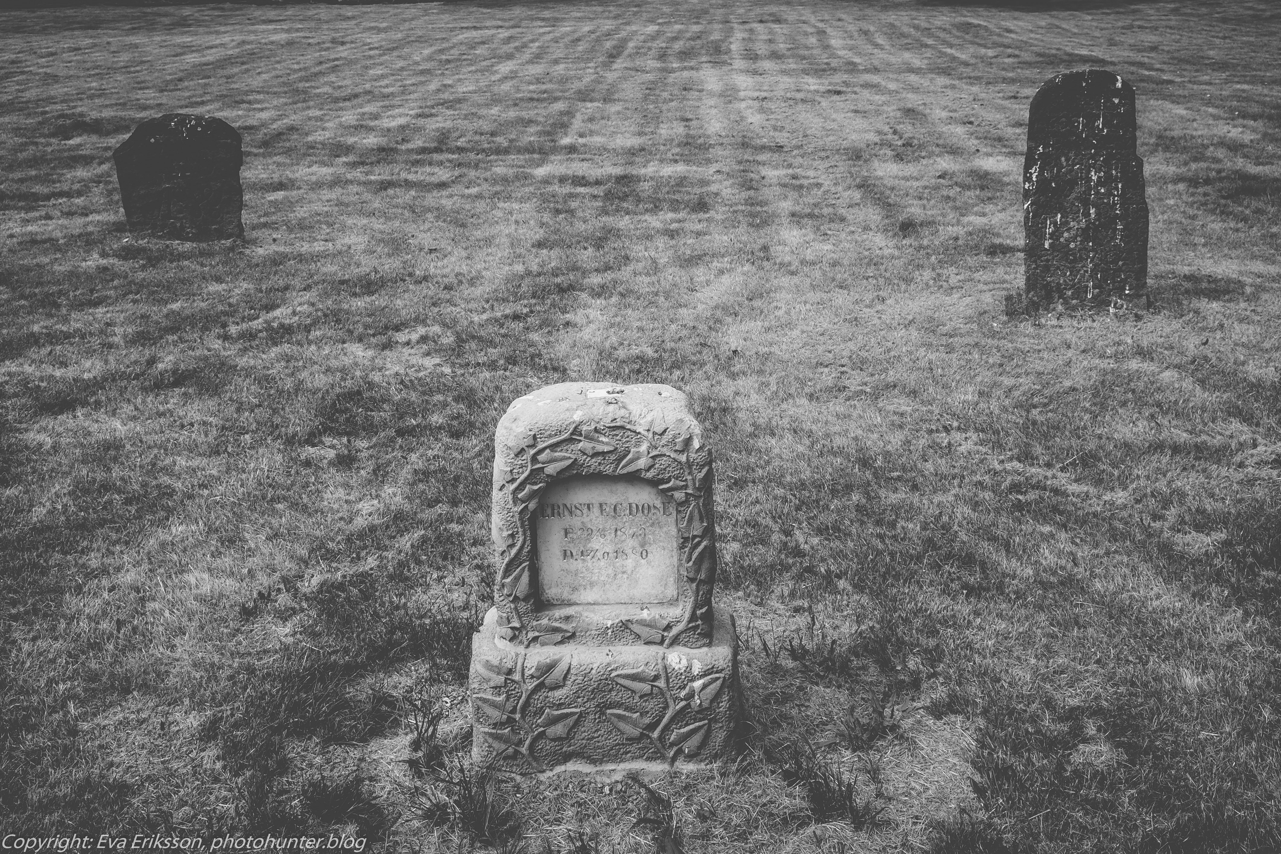 28052018-28052018-_DSF3989