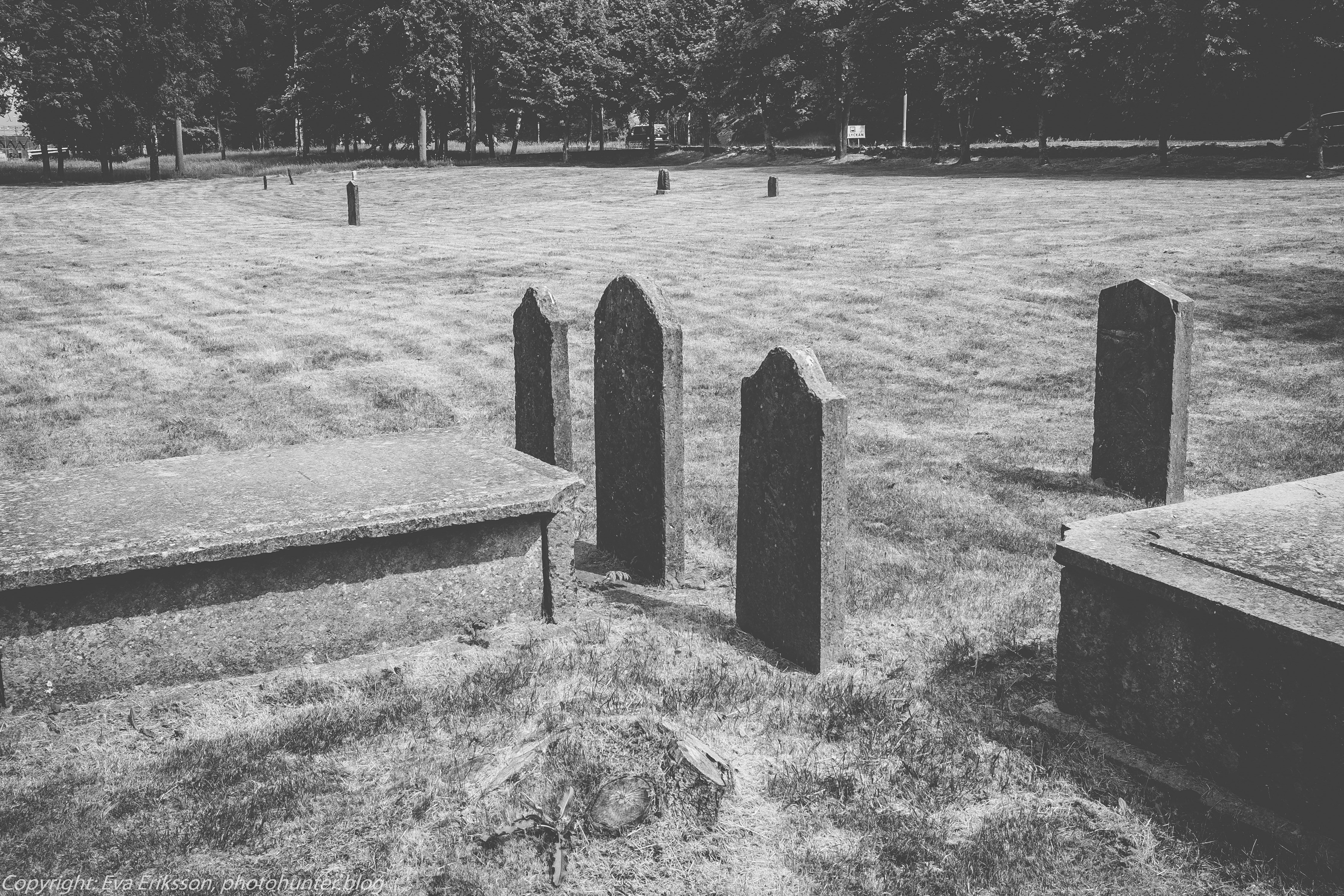 28052018-28052018-_DSF3999