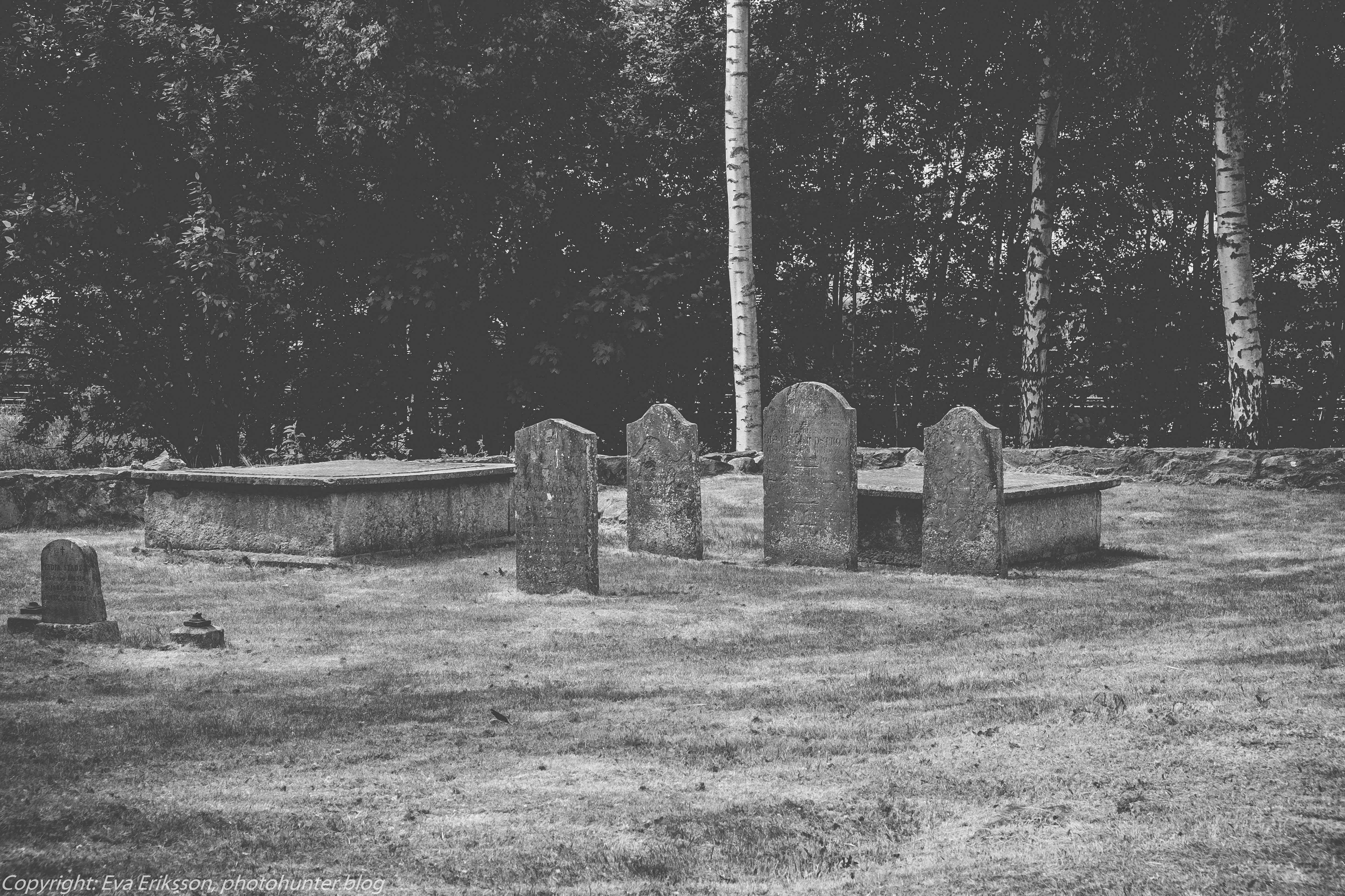 28052018-28052018-_DSF4002