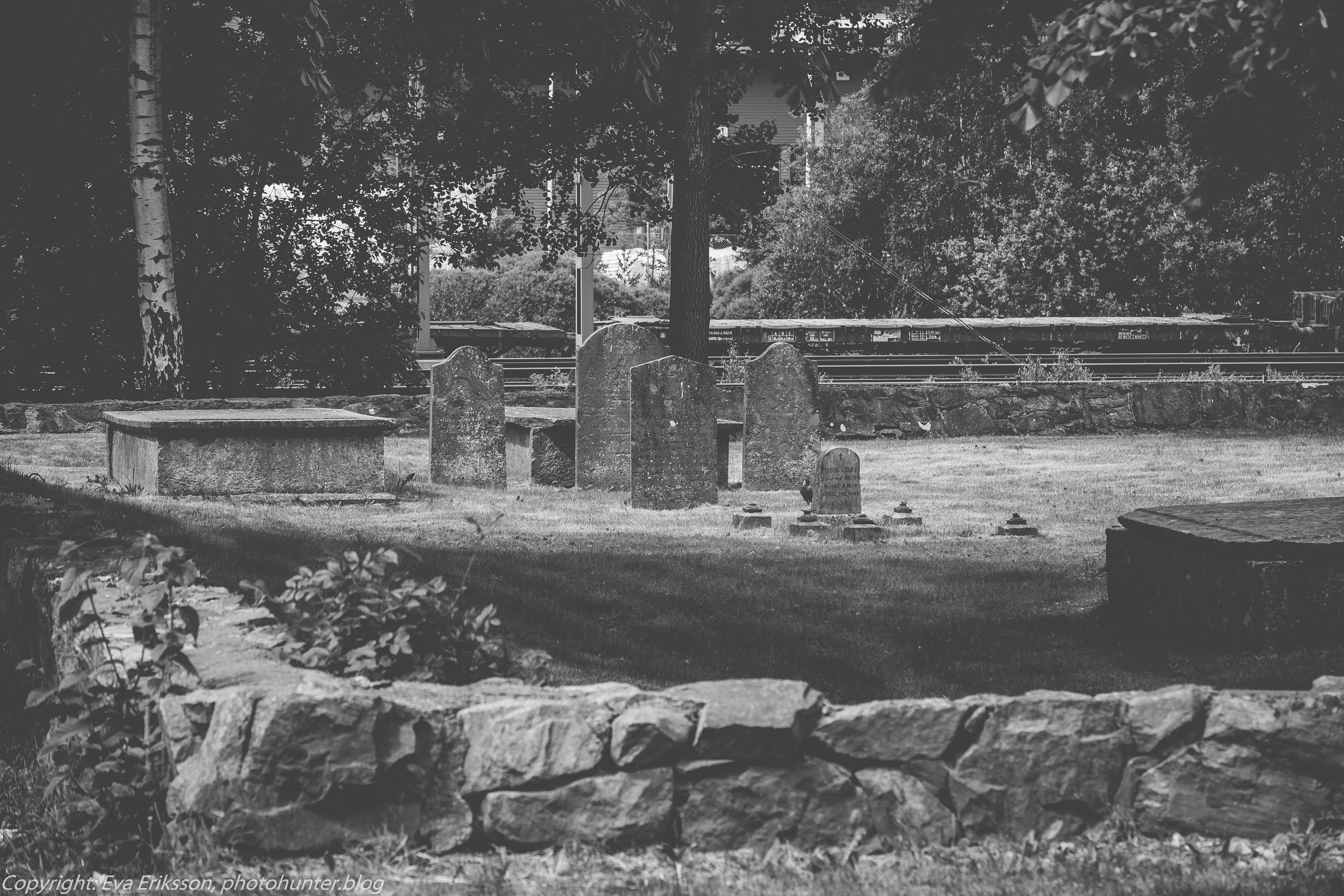 28052018-28052018-_DSF4012