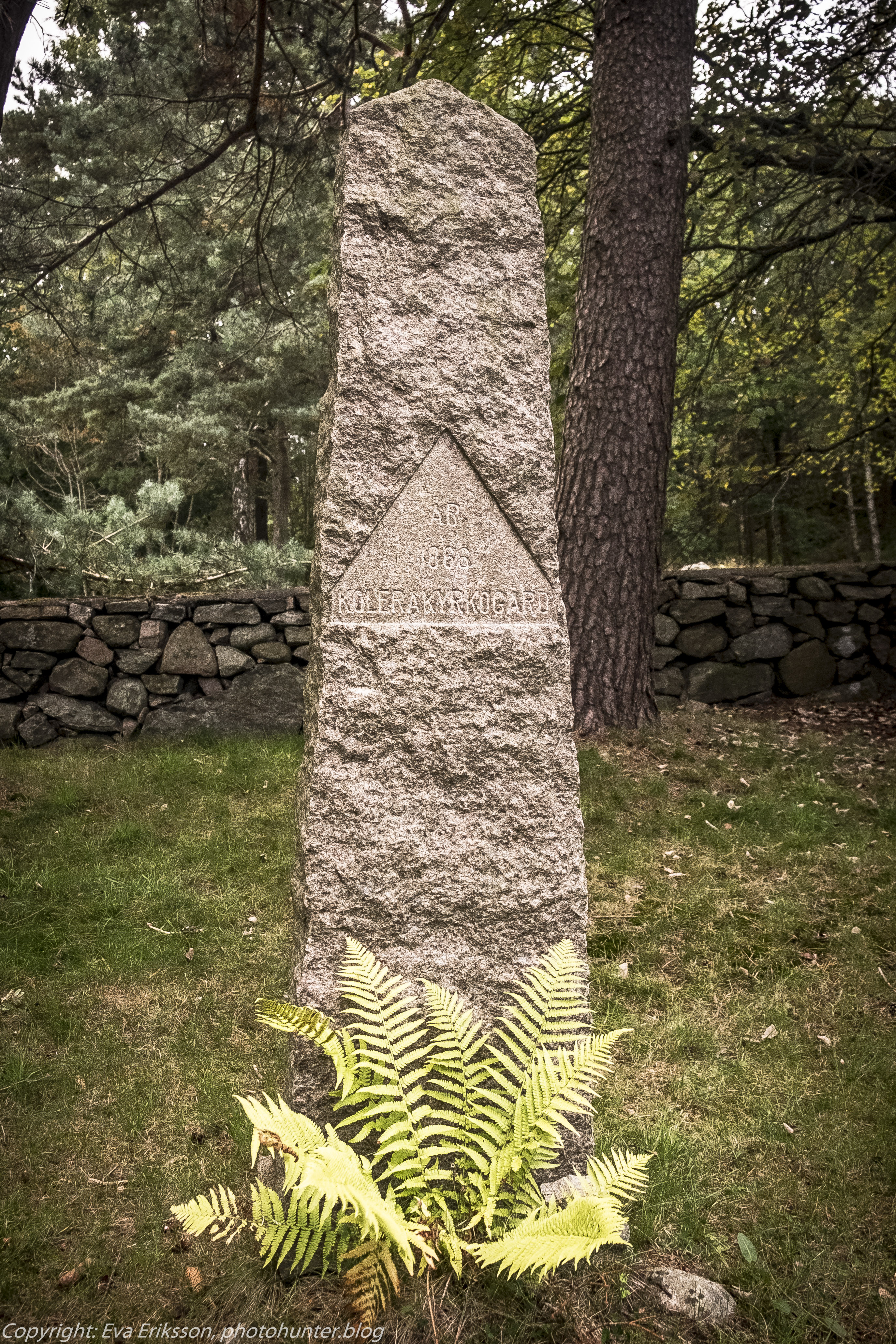 Delsjöns kolerakyrkogård, minnessten kolerakyrkogård 1881