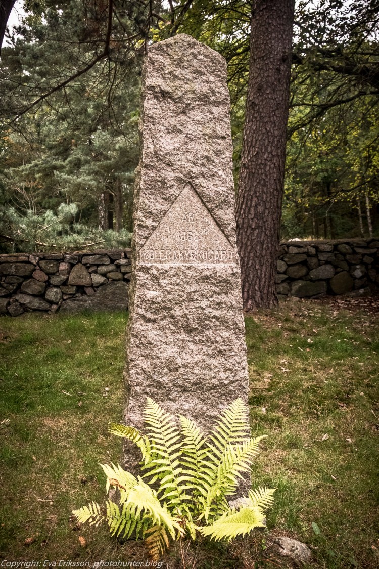 28082017-minnessten kolerakyrkogård 1881