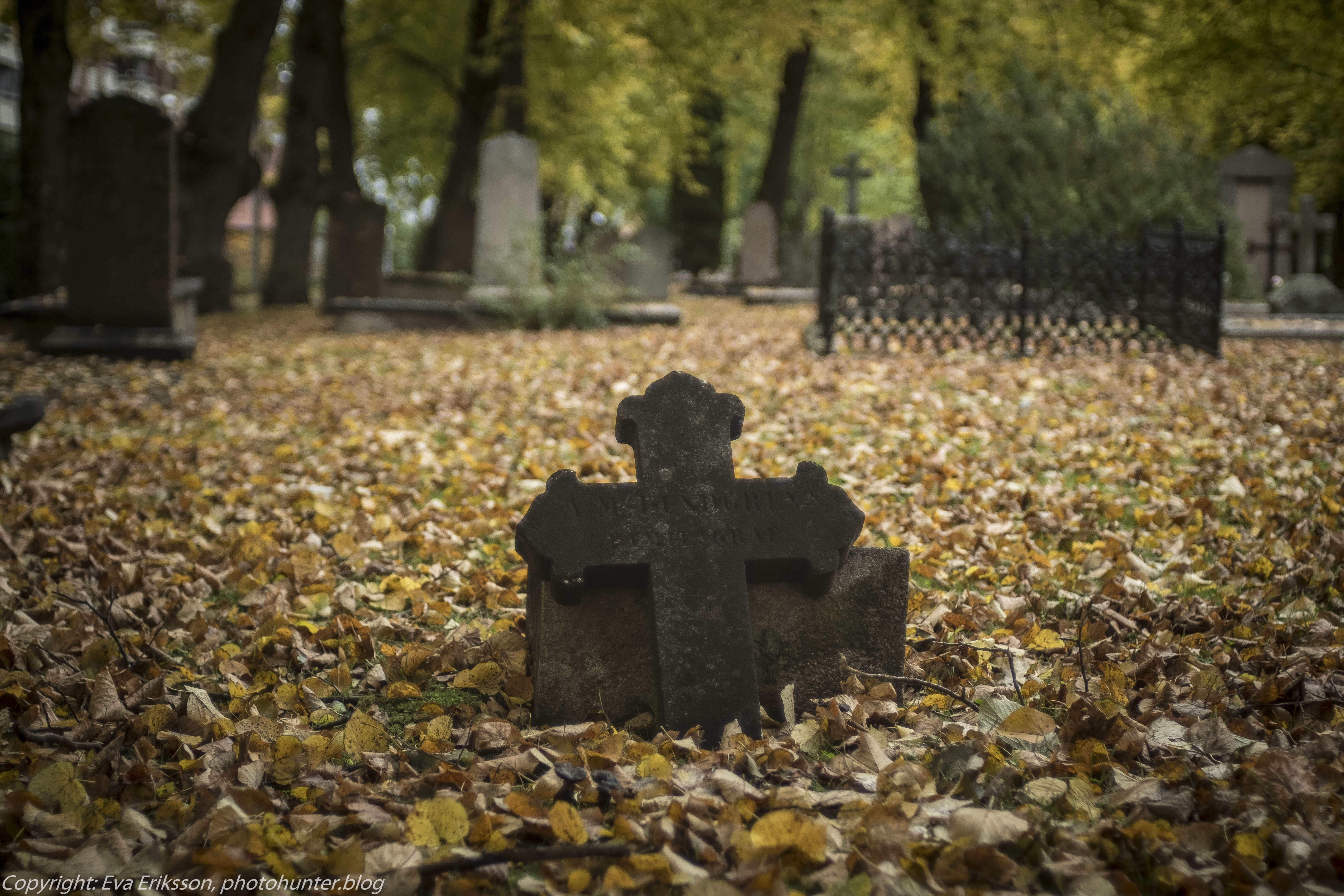 stampens kyrkogård konica 40mm-31