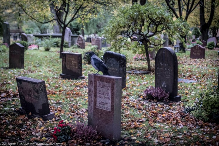 stampens kyrkogård konica 40mm