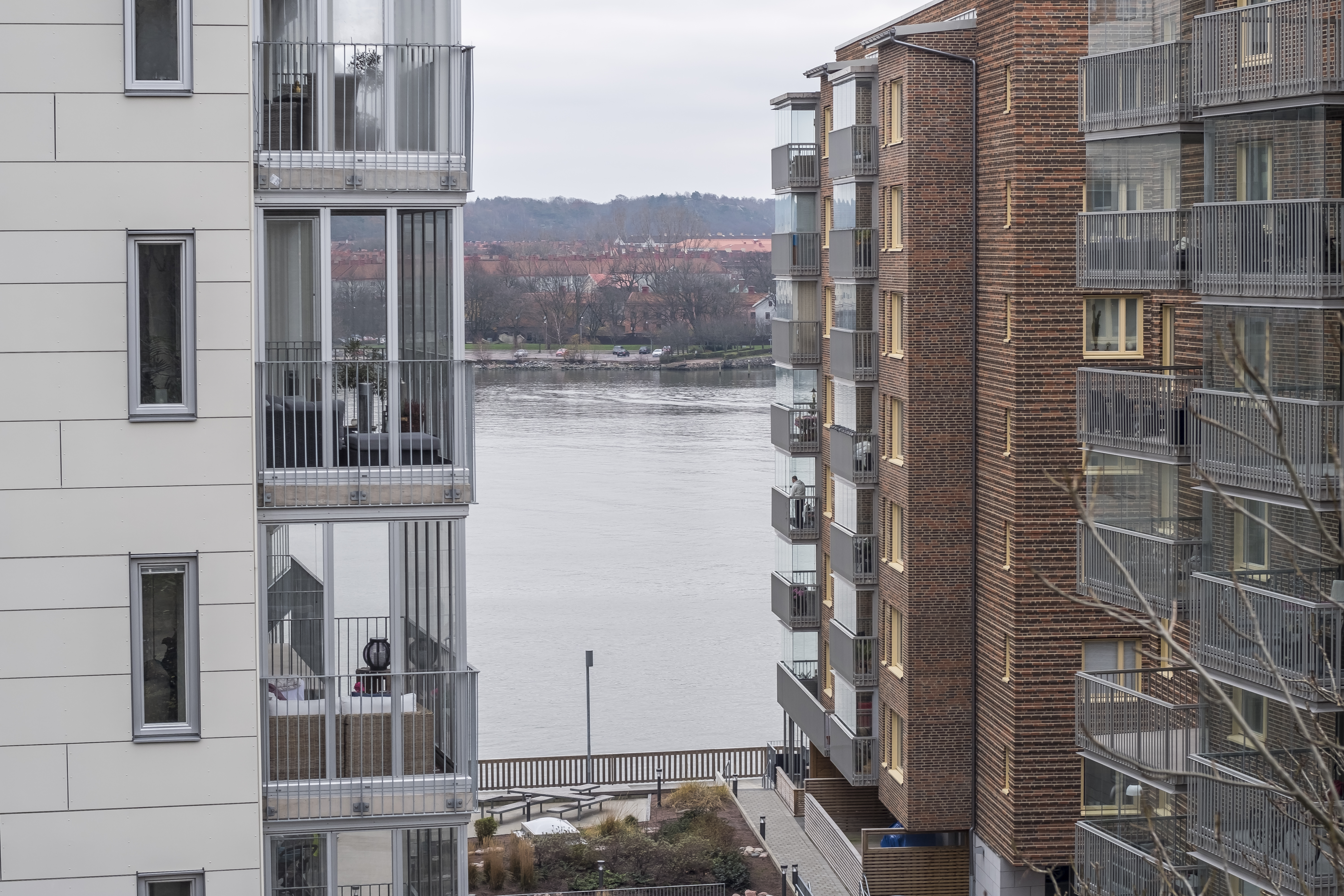 20181117 - cosina 50mm-2.jpg