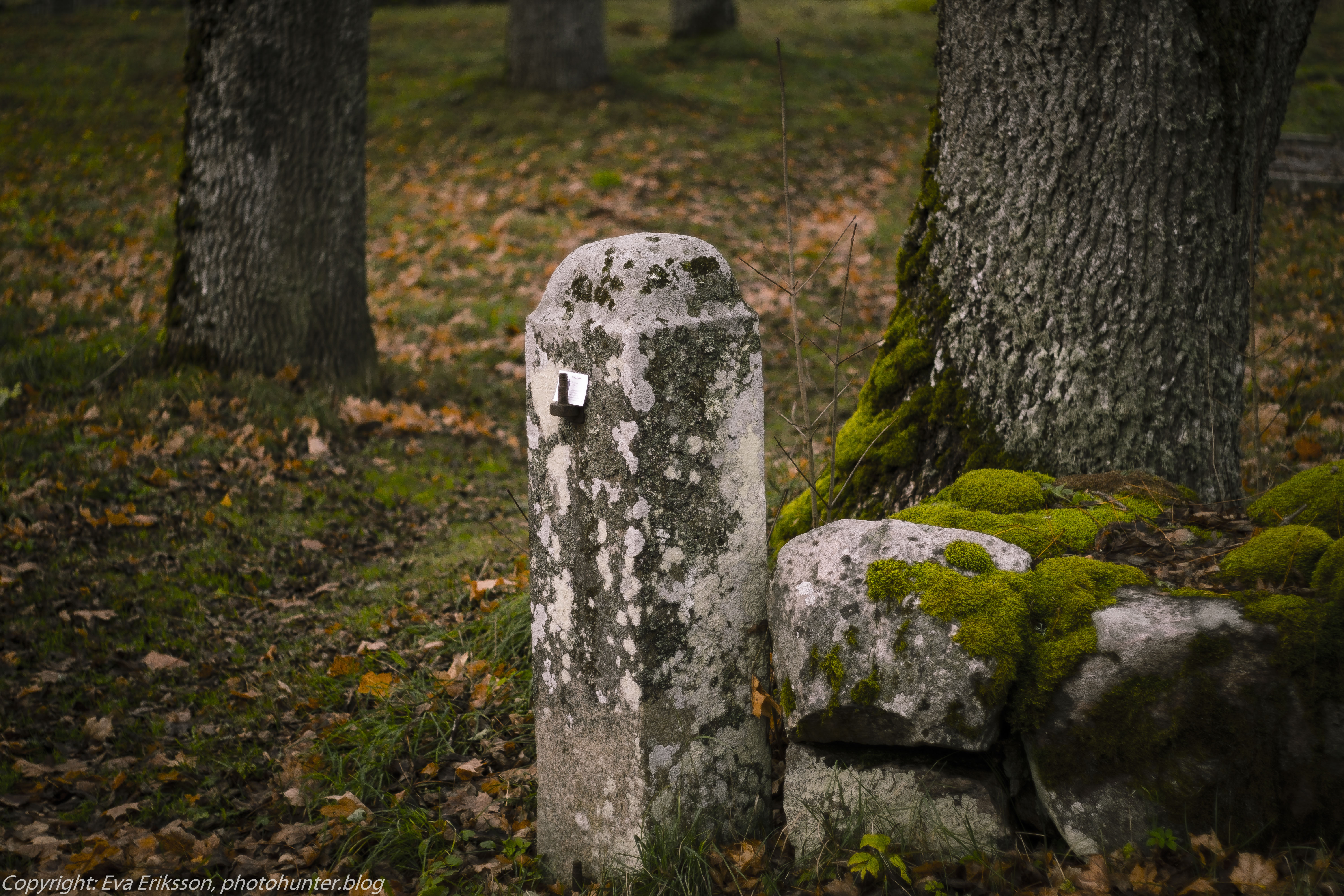 Södra Härene kyrkoruin