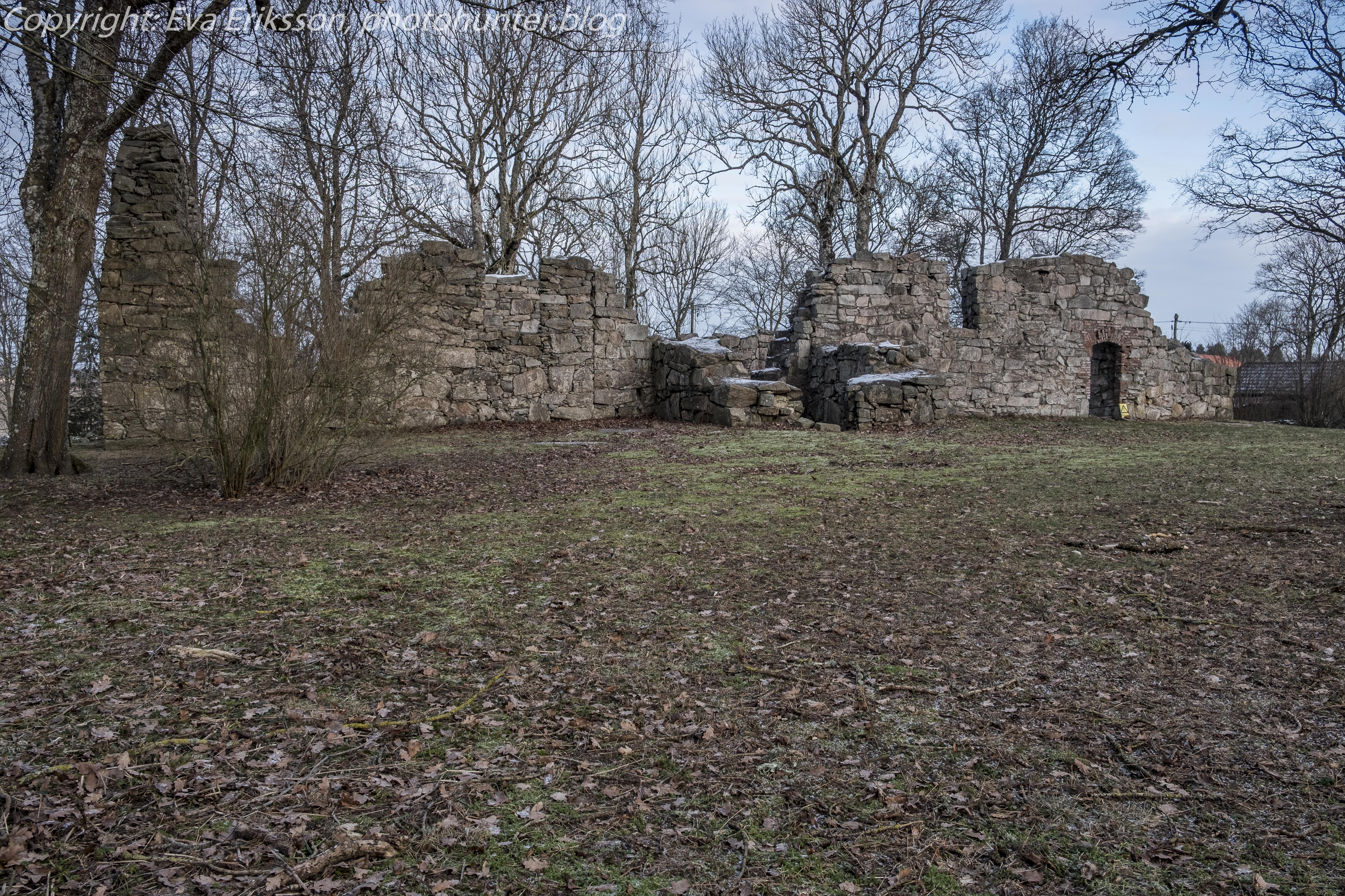 25012019-25012019-_DSF3788