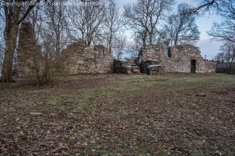 25012019-25012019-_DSF3788