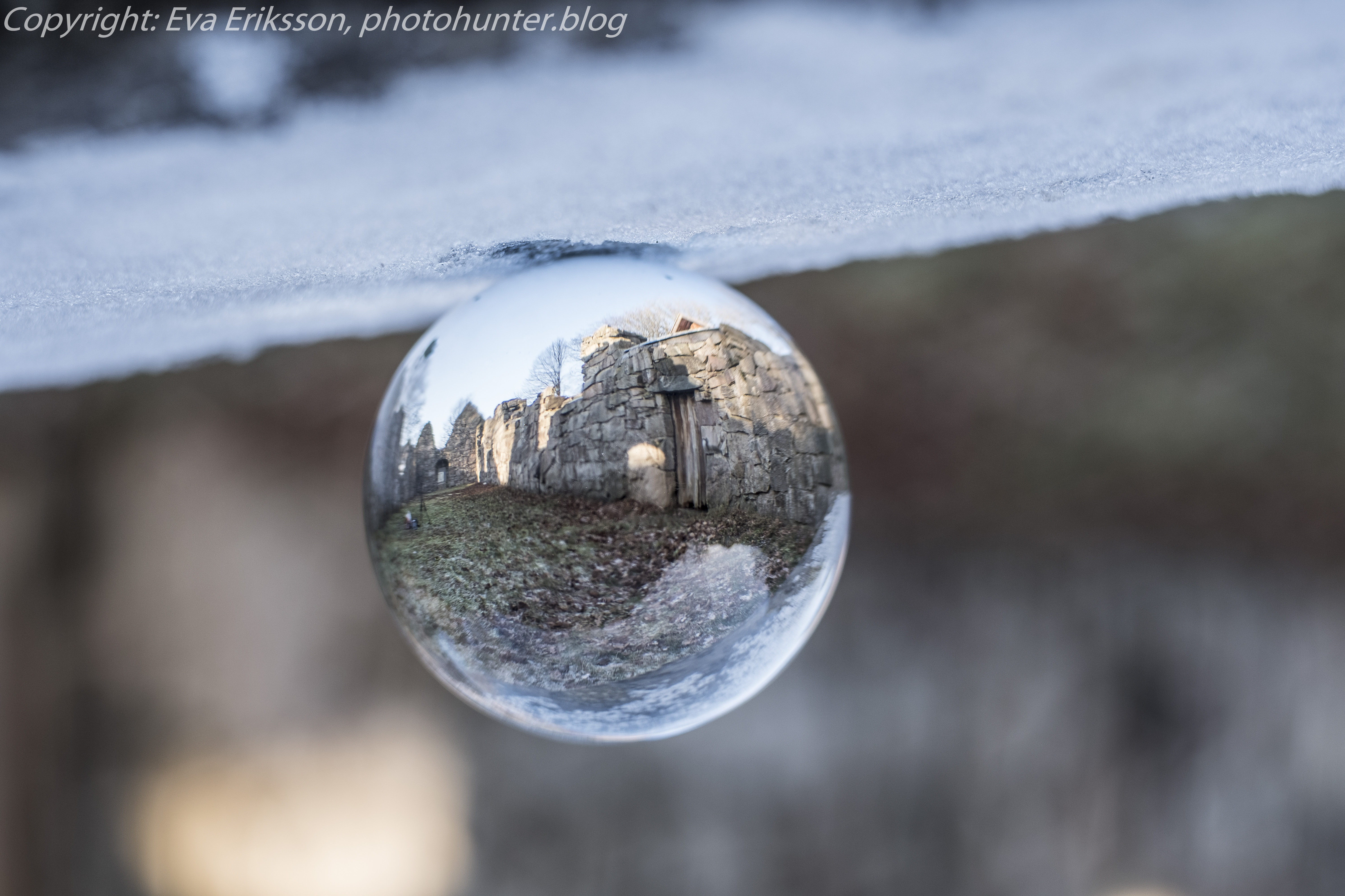 25012019-gärdhem - cosina 50-2.jpg