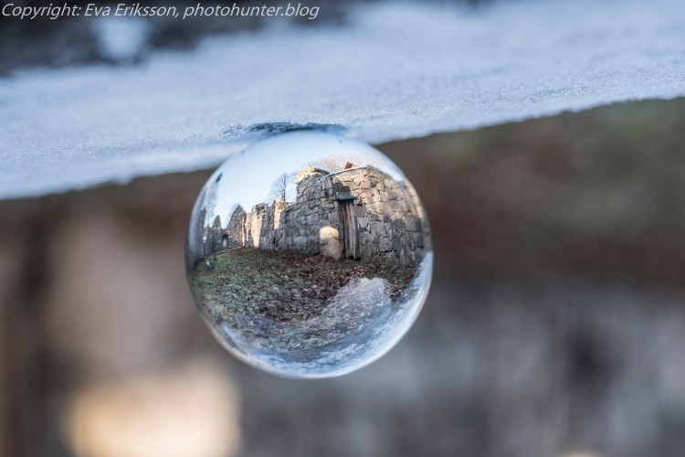 25012019-gärdhem - cosina 50-2.jpg