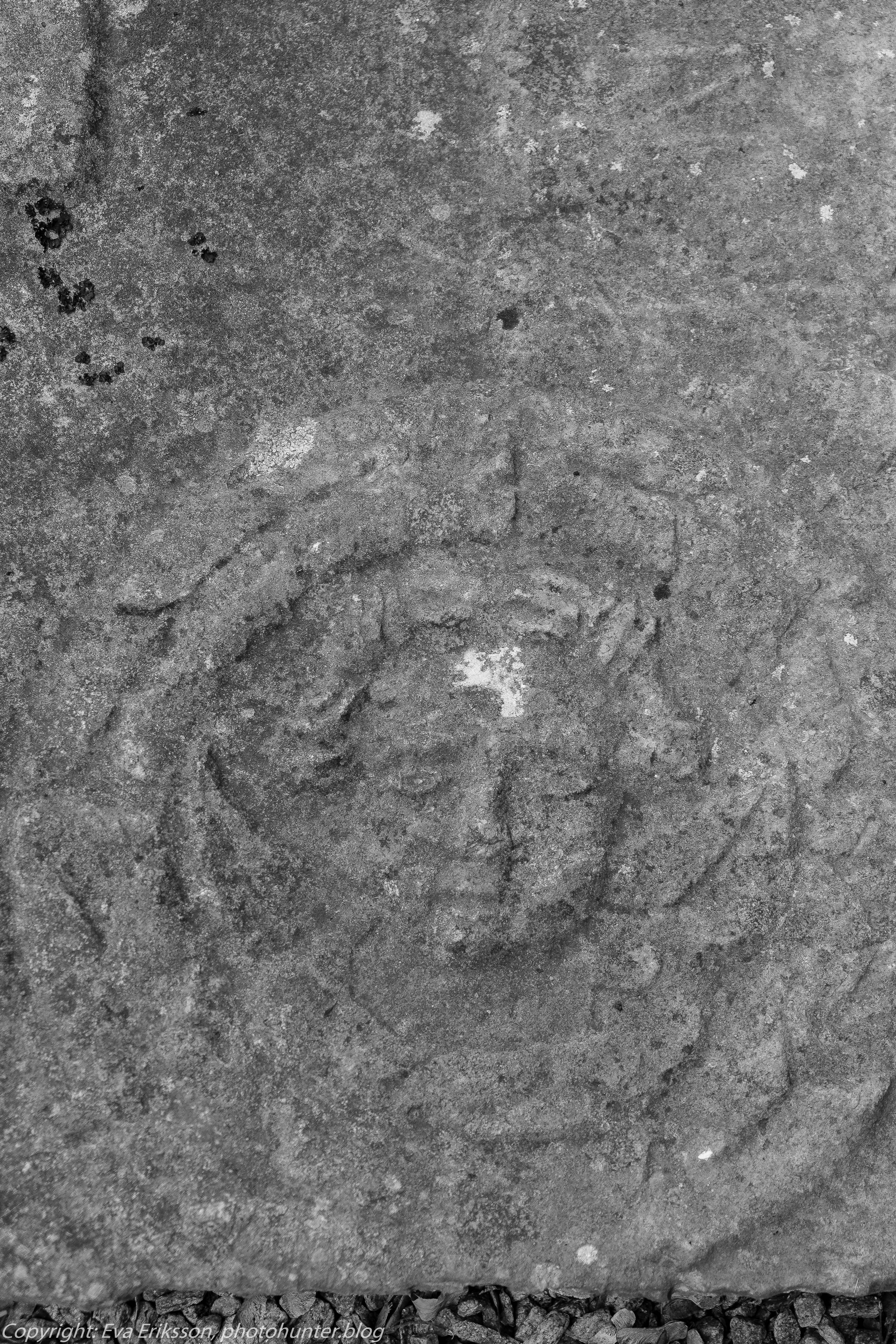 05082019-05082019-DSCF8022