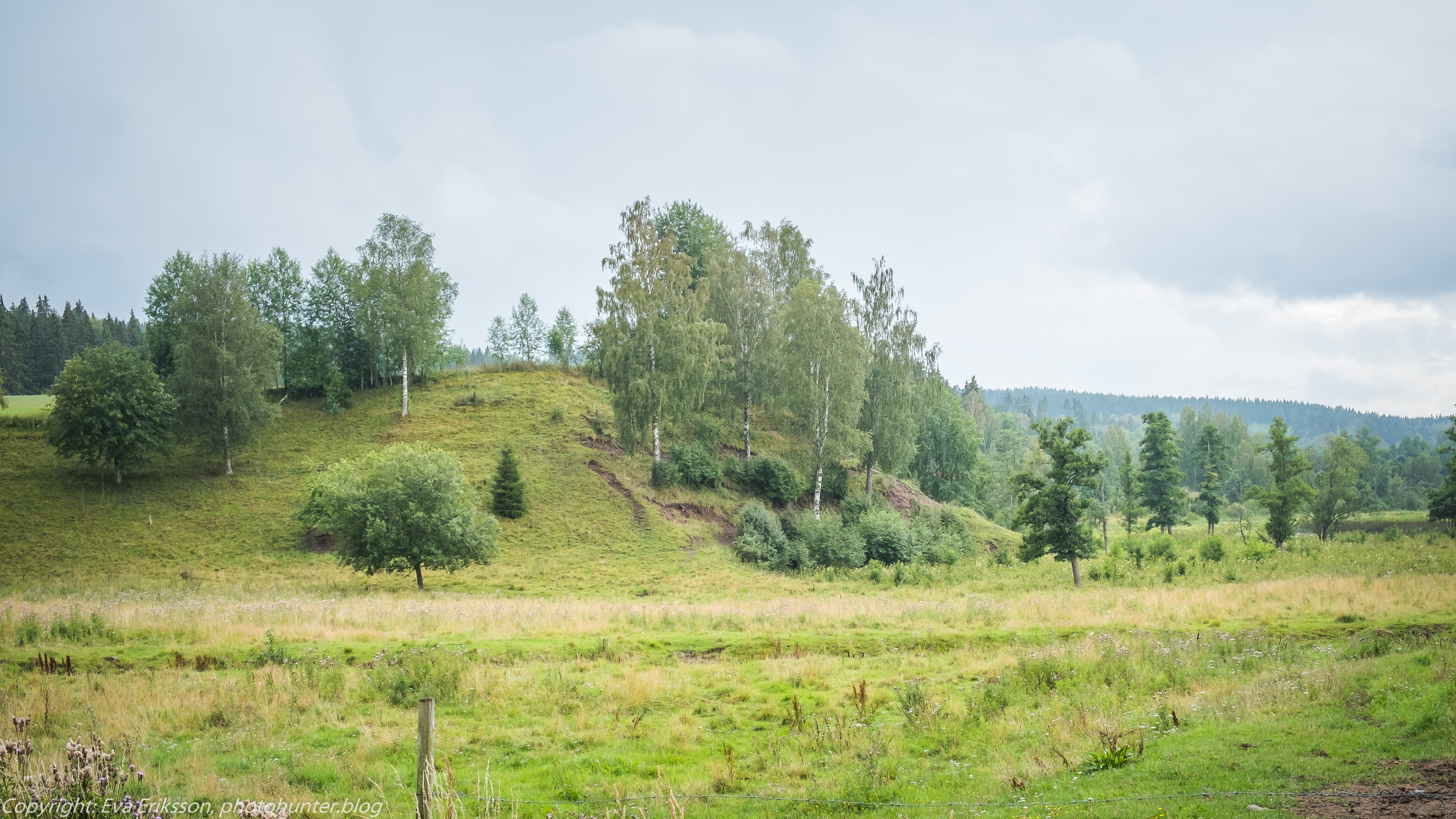 06082019-06082019-DSCF8075