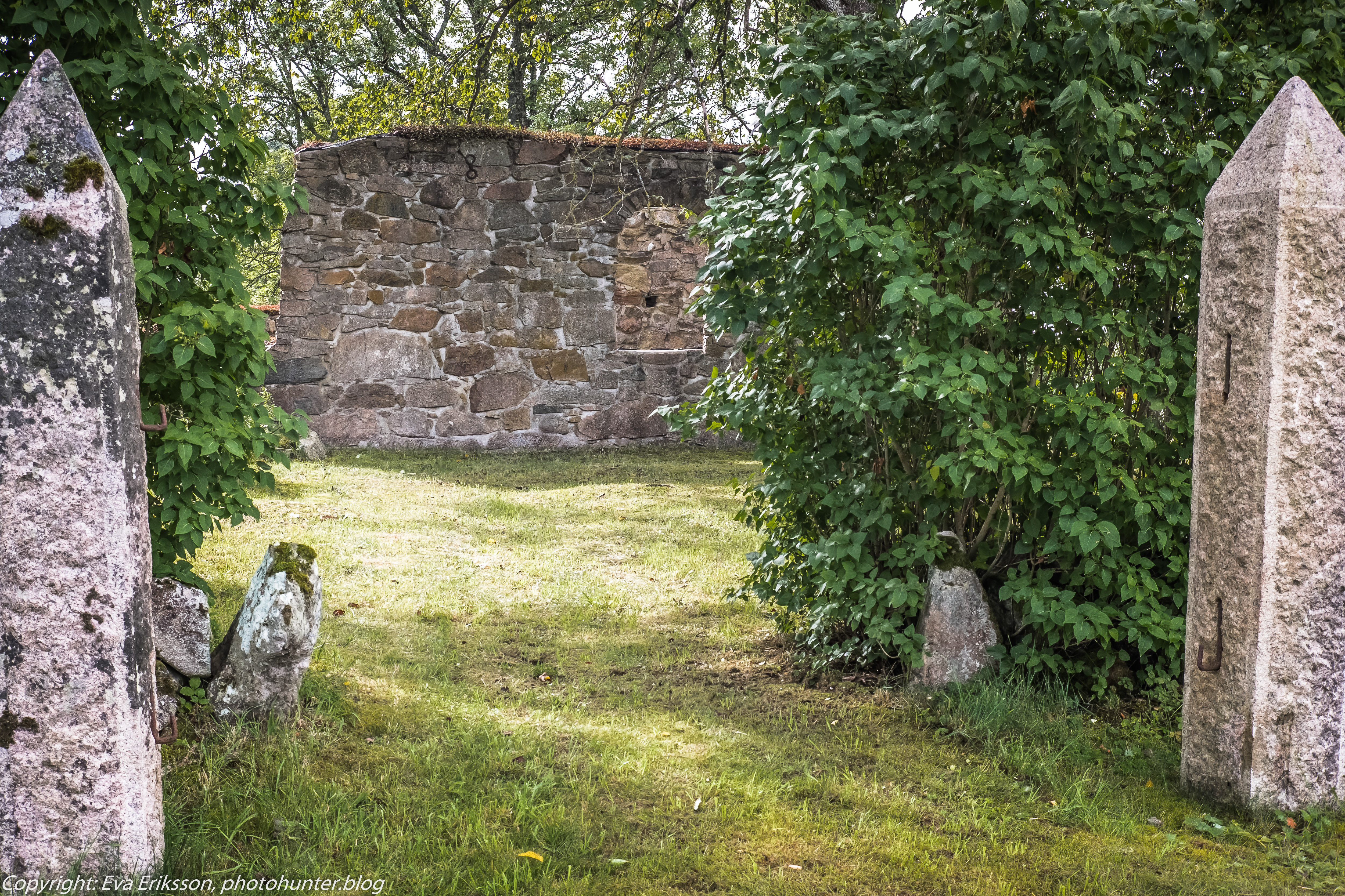 18082019-18082019-DSCF8950