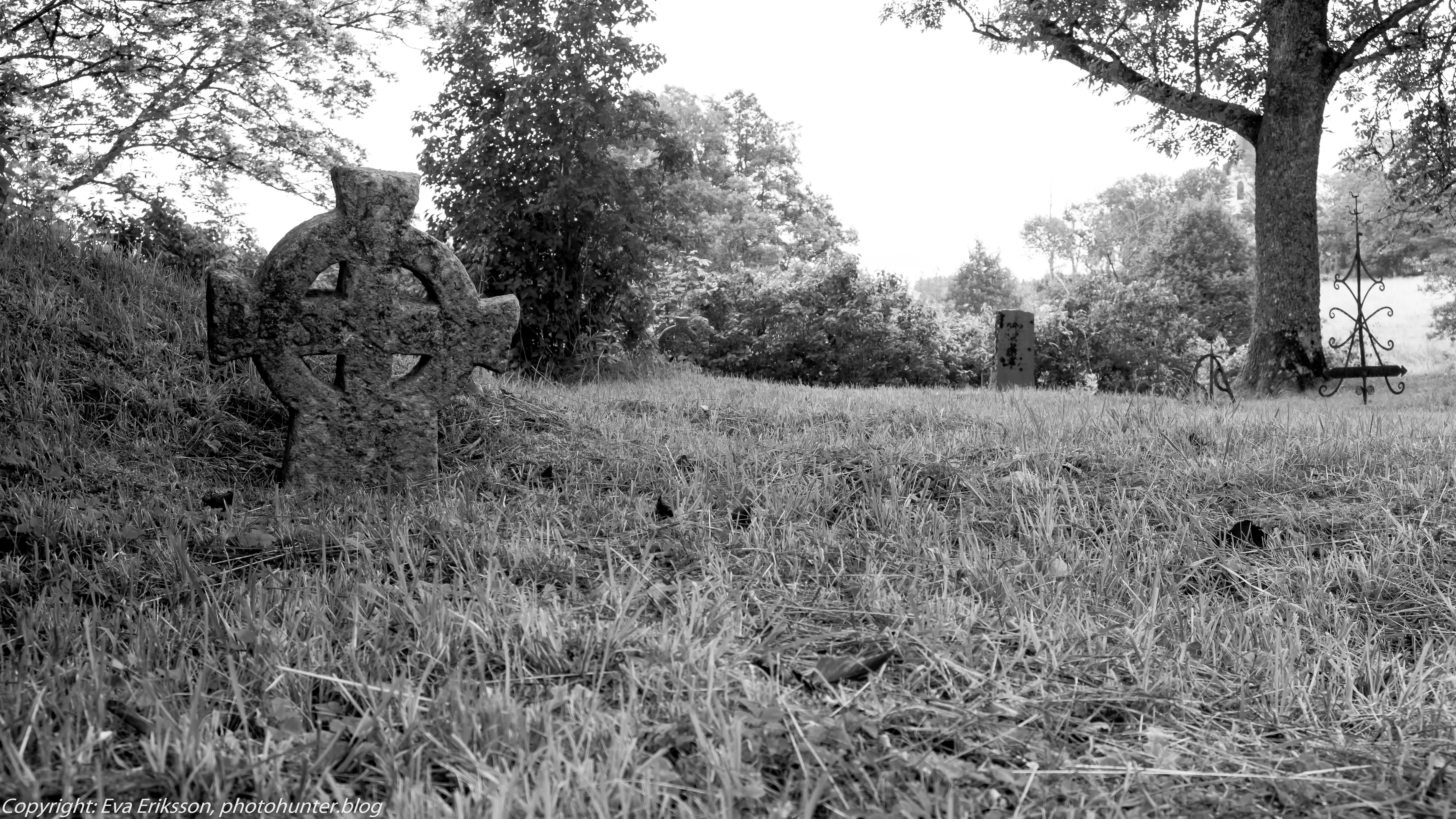 18082019-18082019-DSCF8955