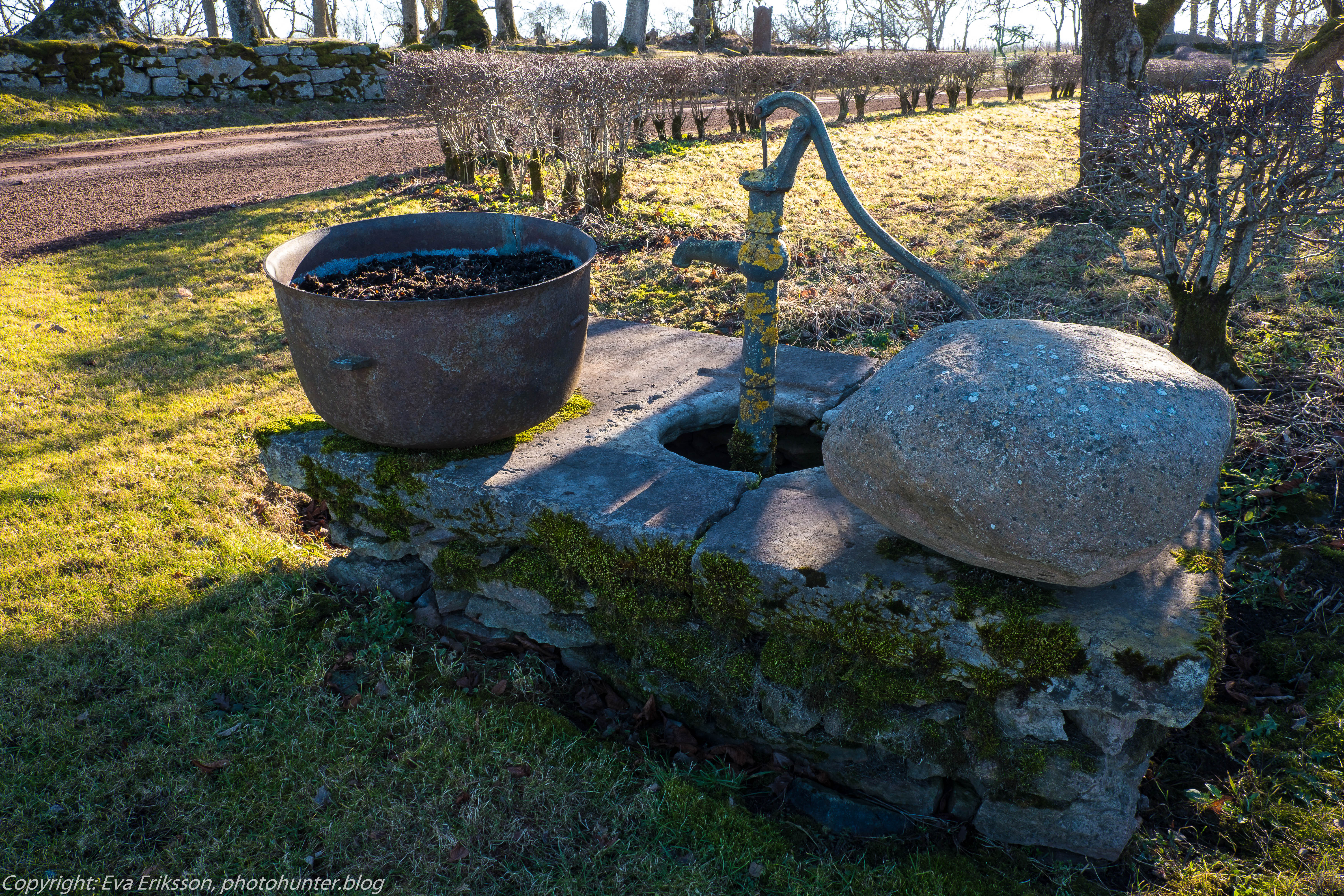 28022019-28022019-DSCF4226