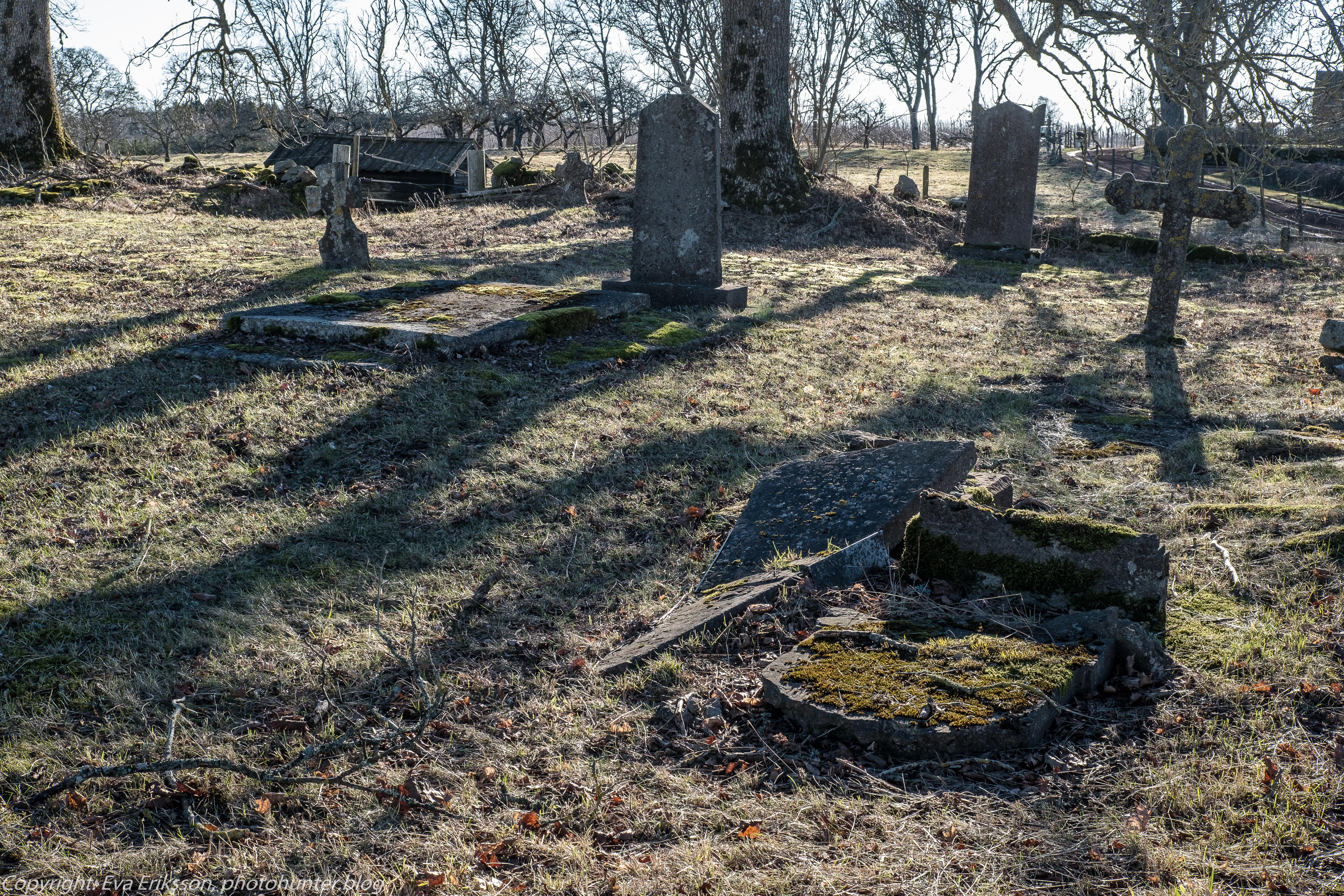 28022019-28022019-DSCF4241