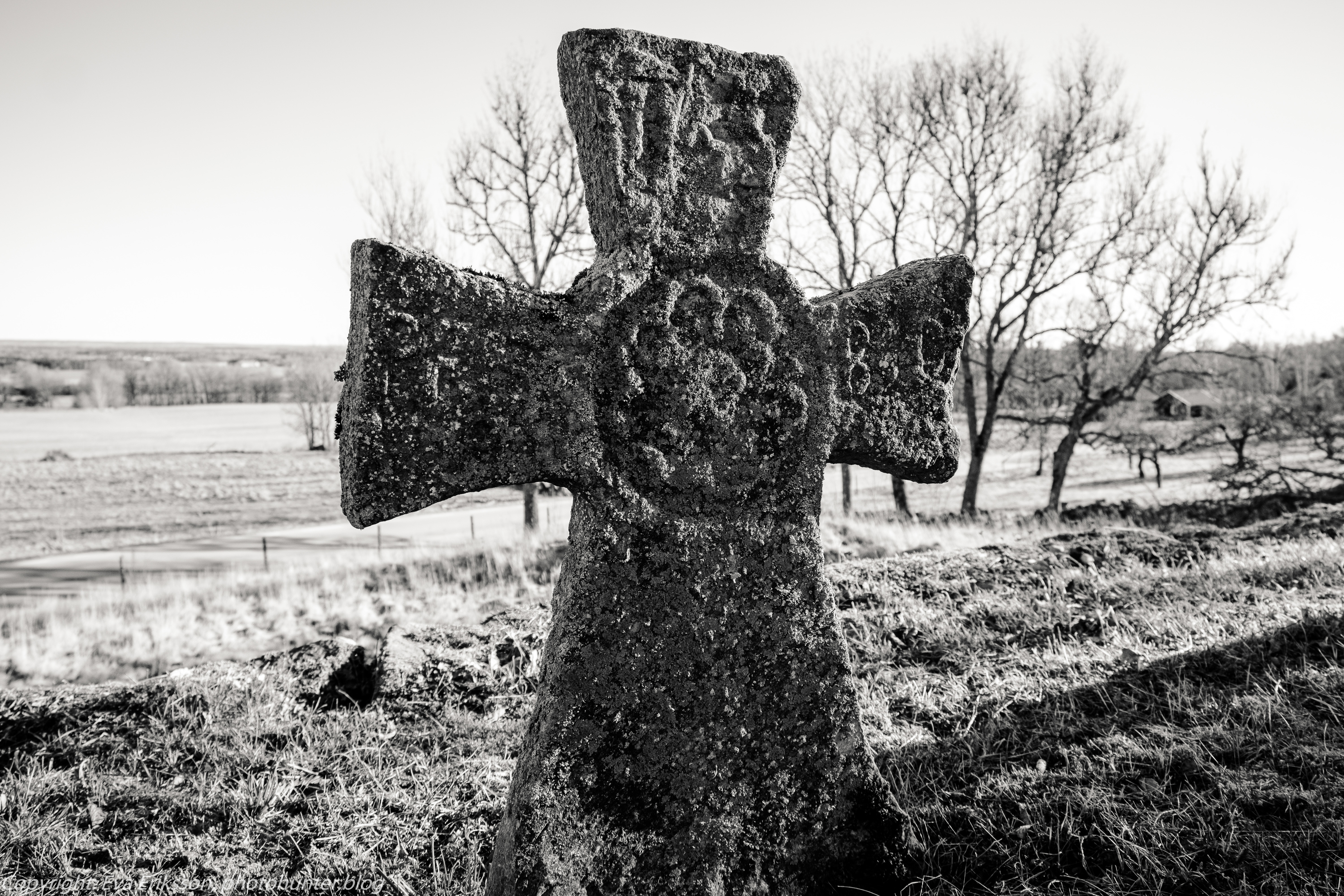 28022019-28022019-DSCF4261