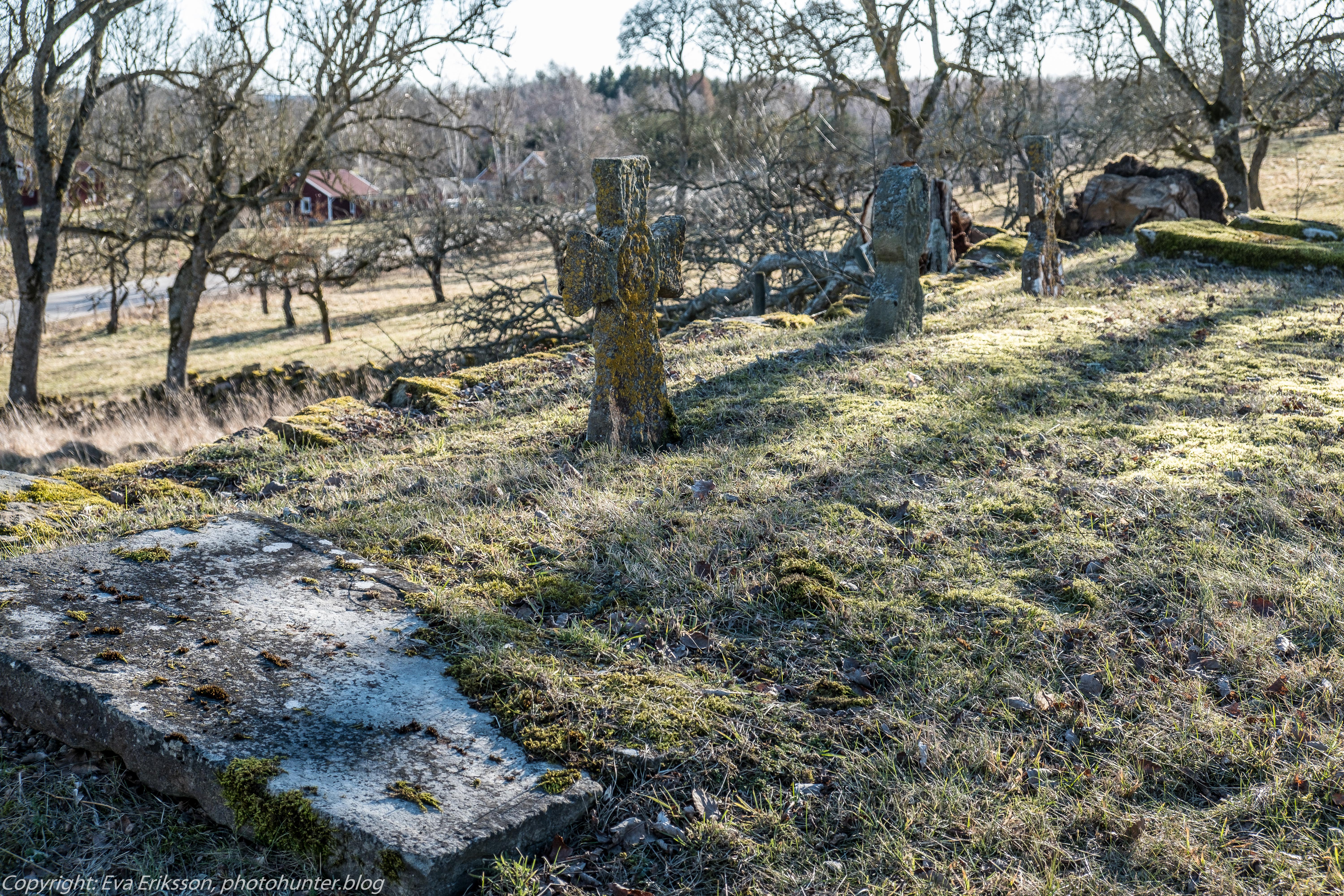 28022019-28022019-DSCF4263