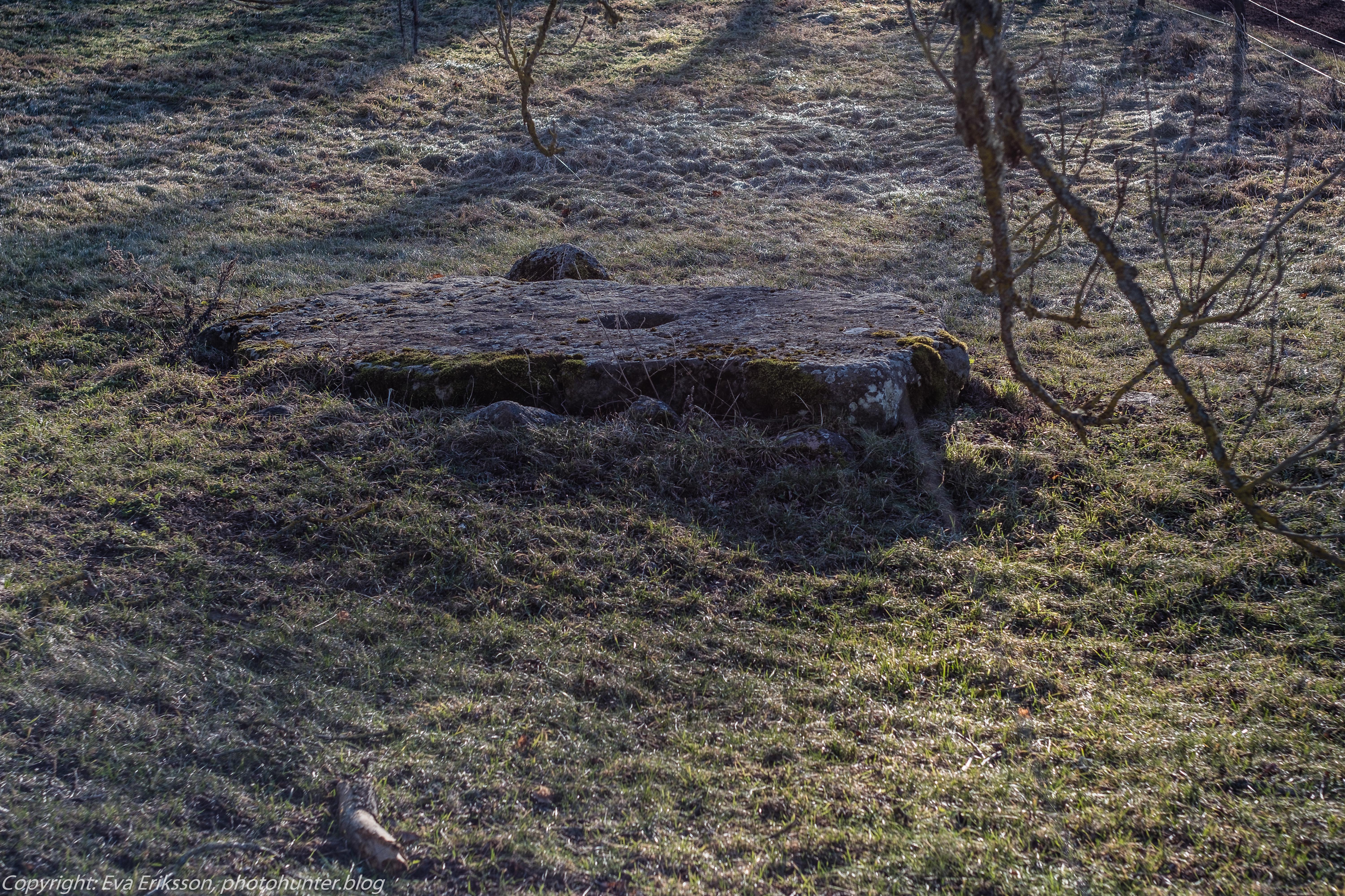 28022019-konika 50mm-1-7