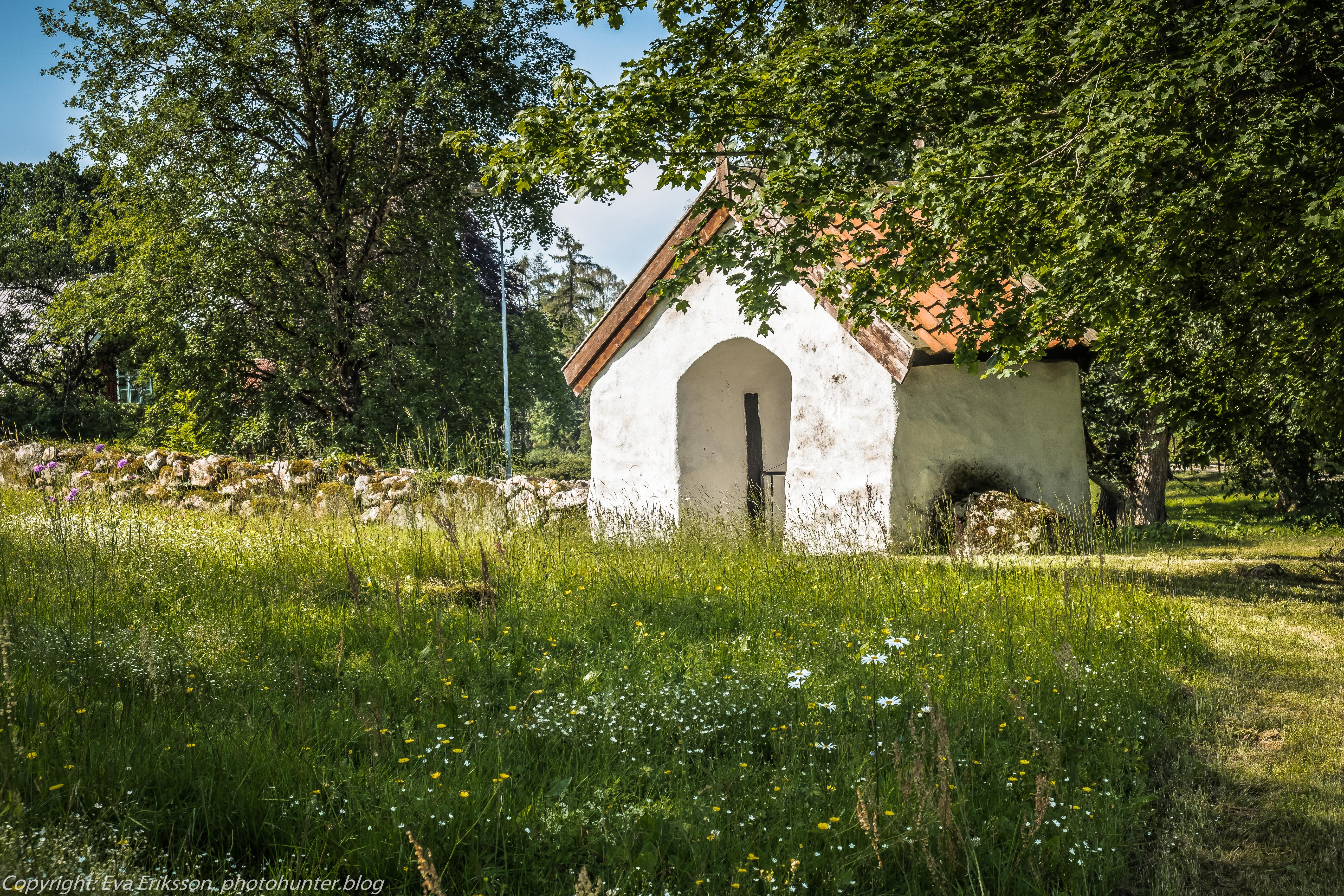 29062019-29062019-DSCF7499