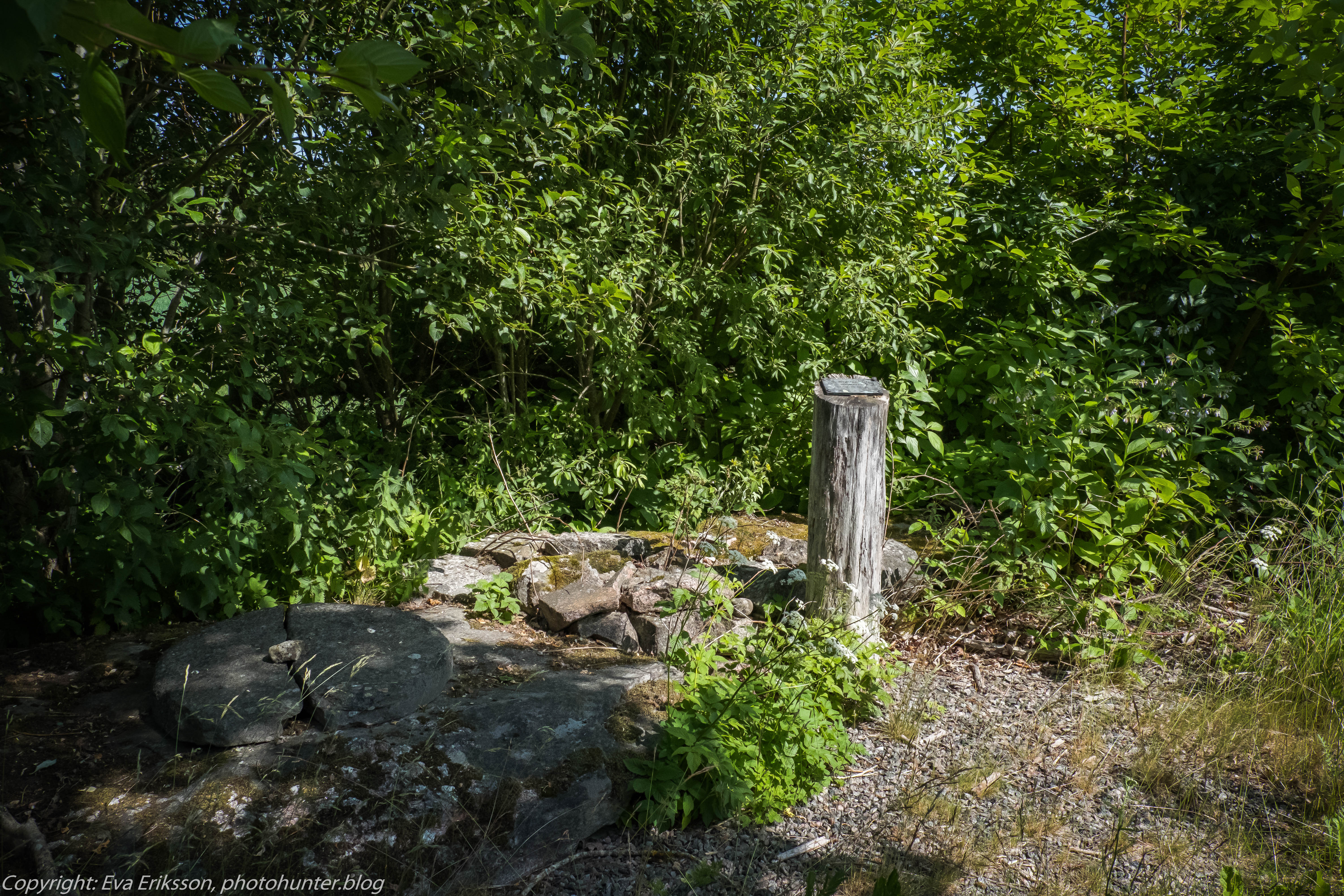 29062019-29062019-DSCF7554