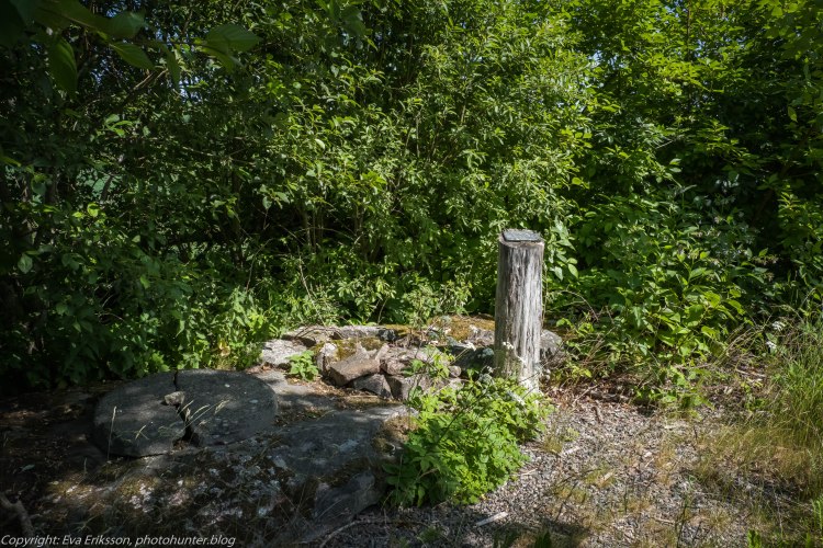 29062019-29062019-DSCF7554