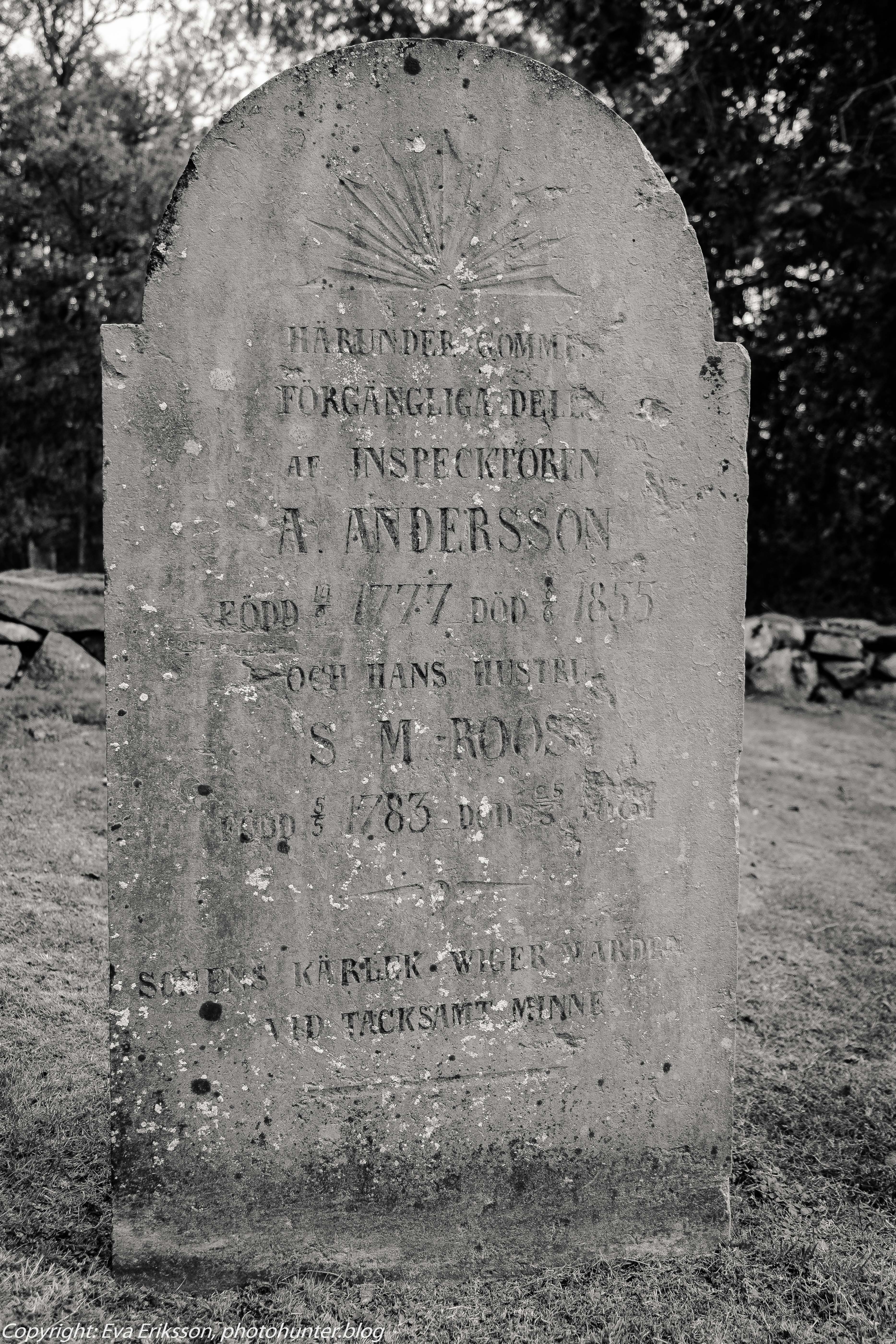 13082019-13082019-DSCF8823