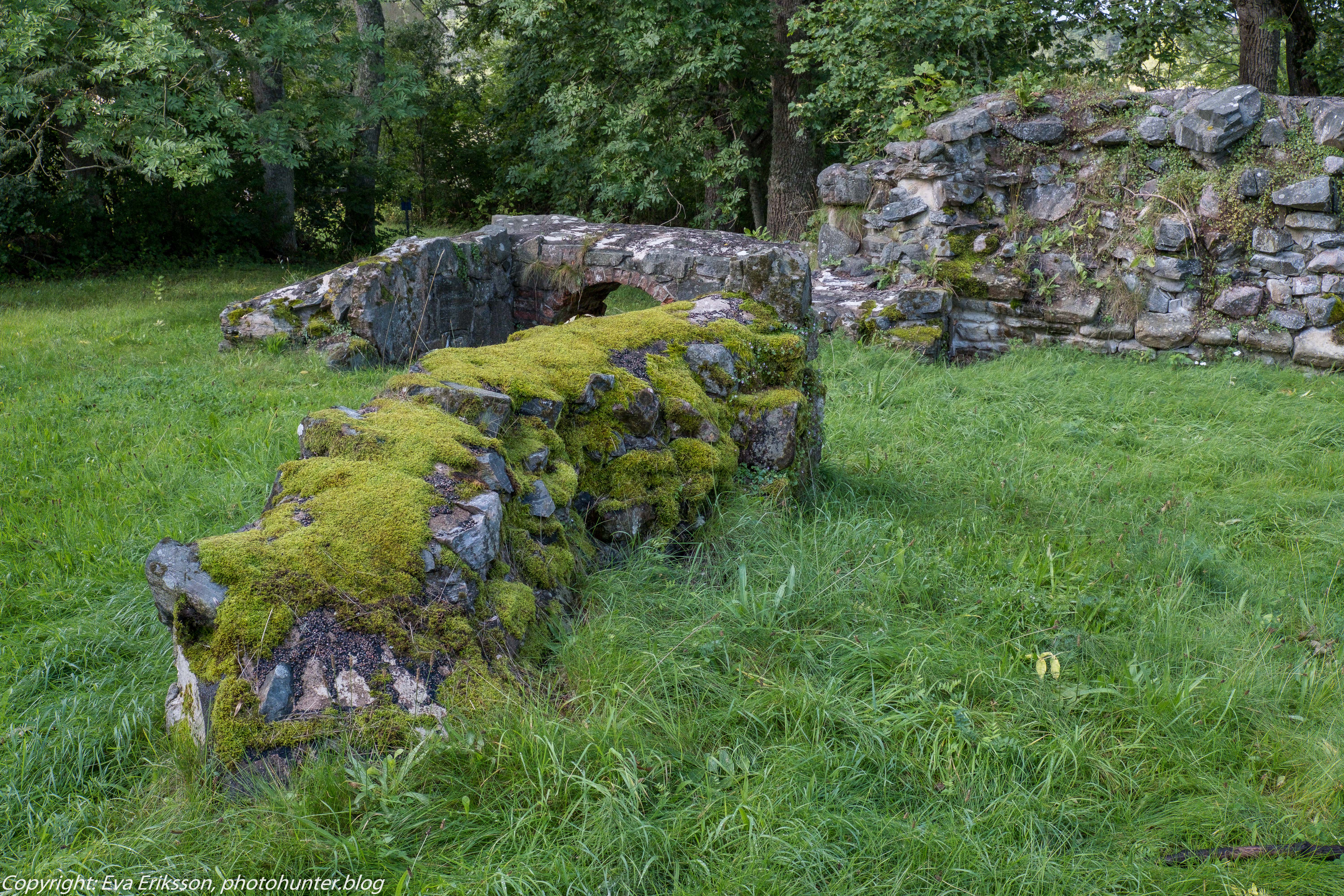 07092019-07092019-DSCF0393